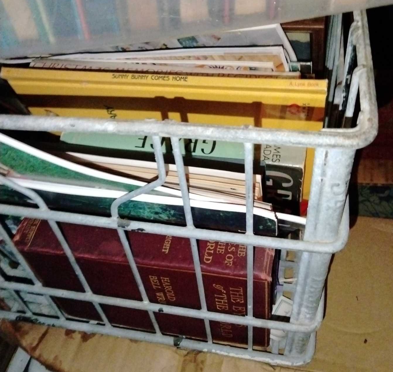 Online Bidding Available!