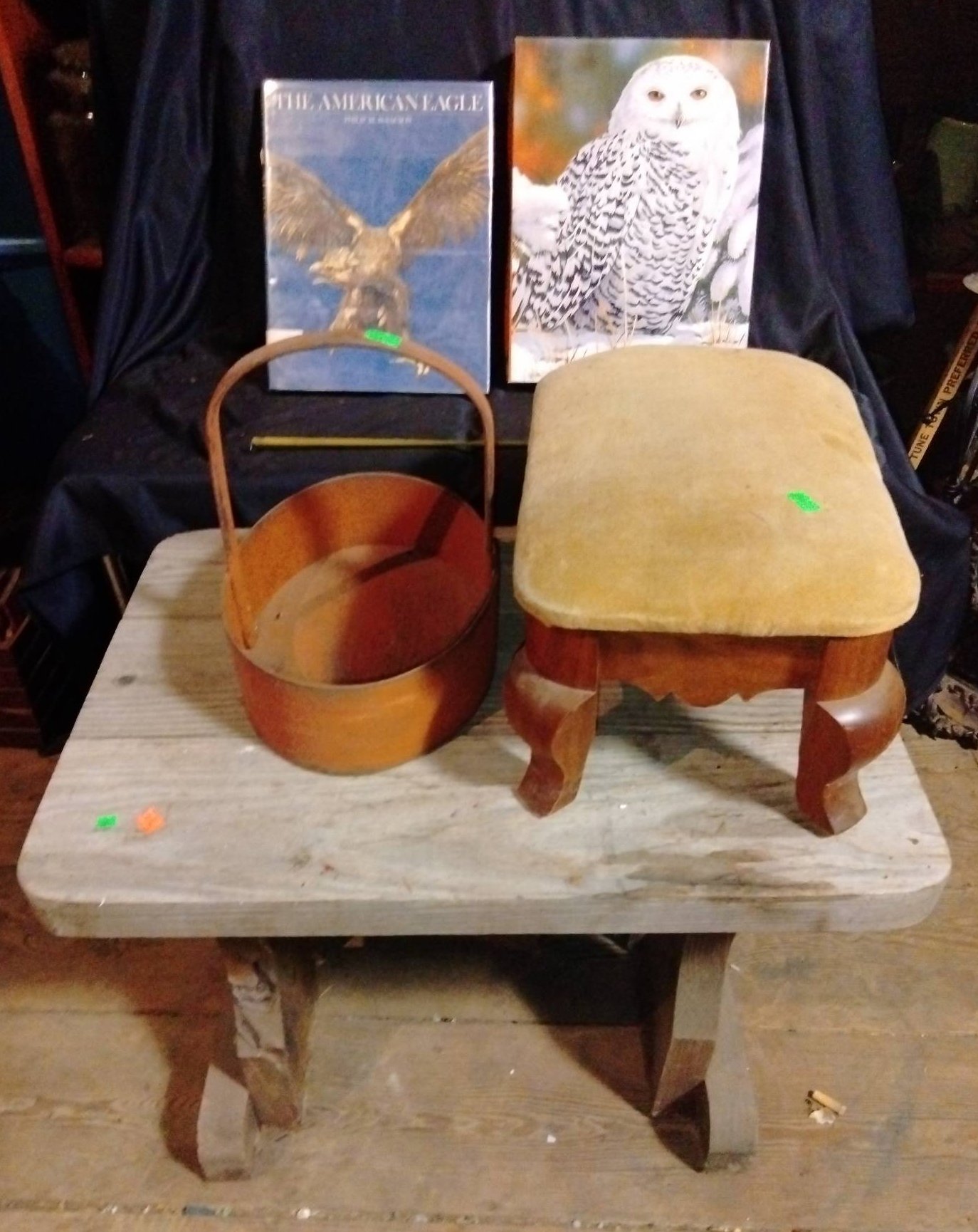 Online Bidding Available!