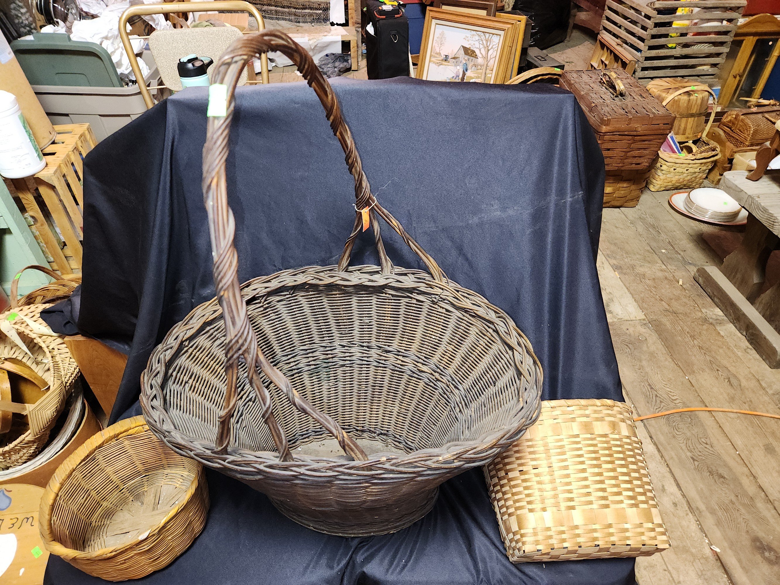 Online Bidding Available!