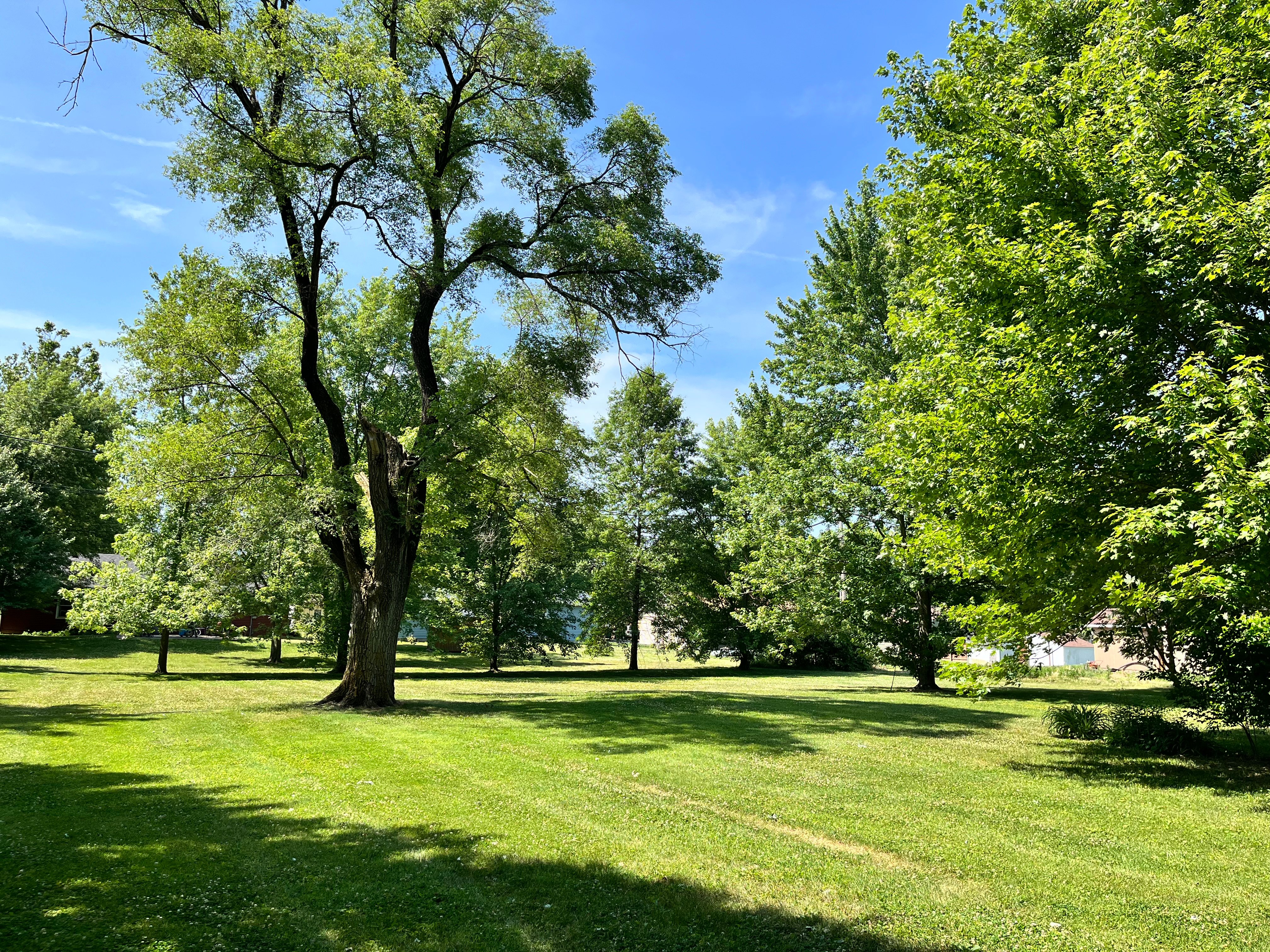 Grant Street vacant lot