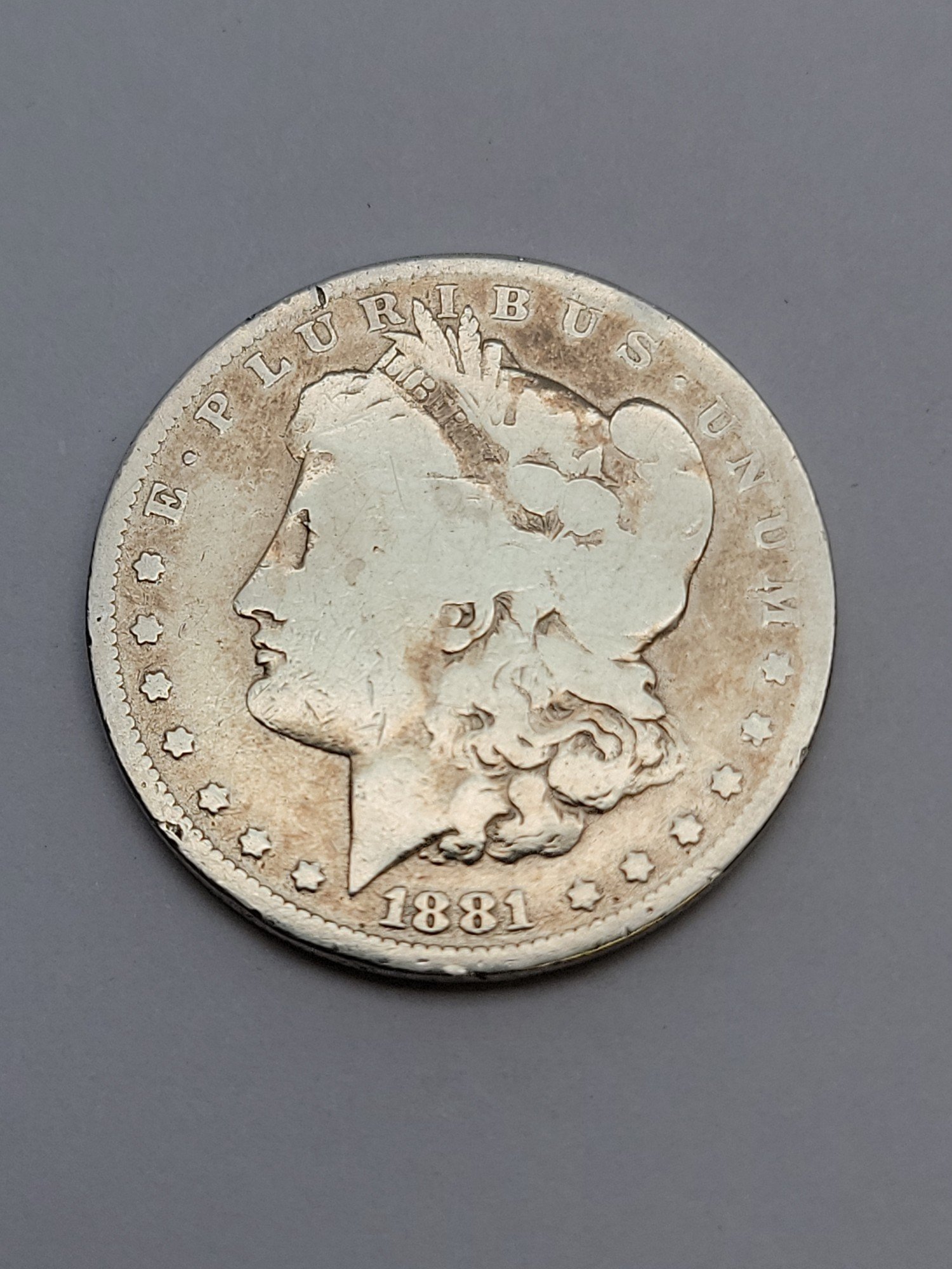 ONLINE BIDDING ONLY