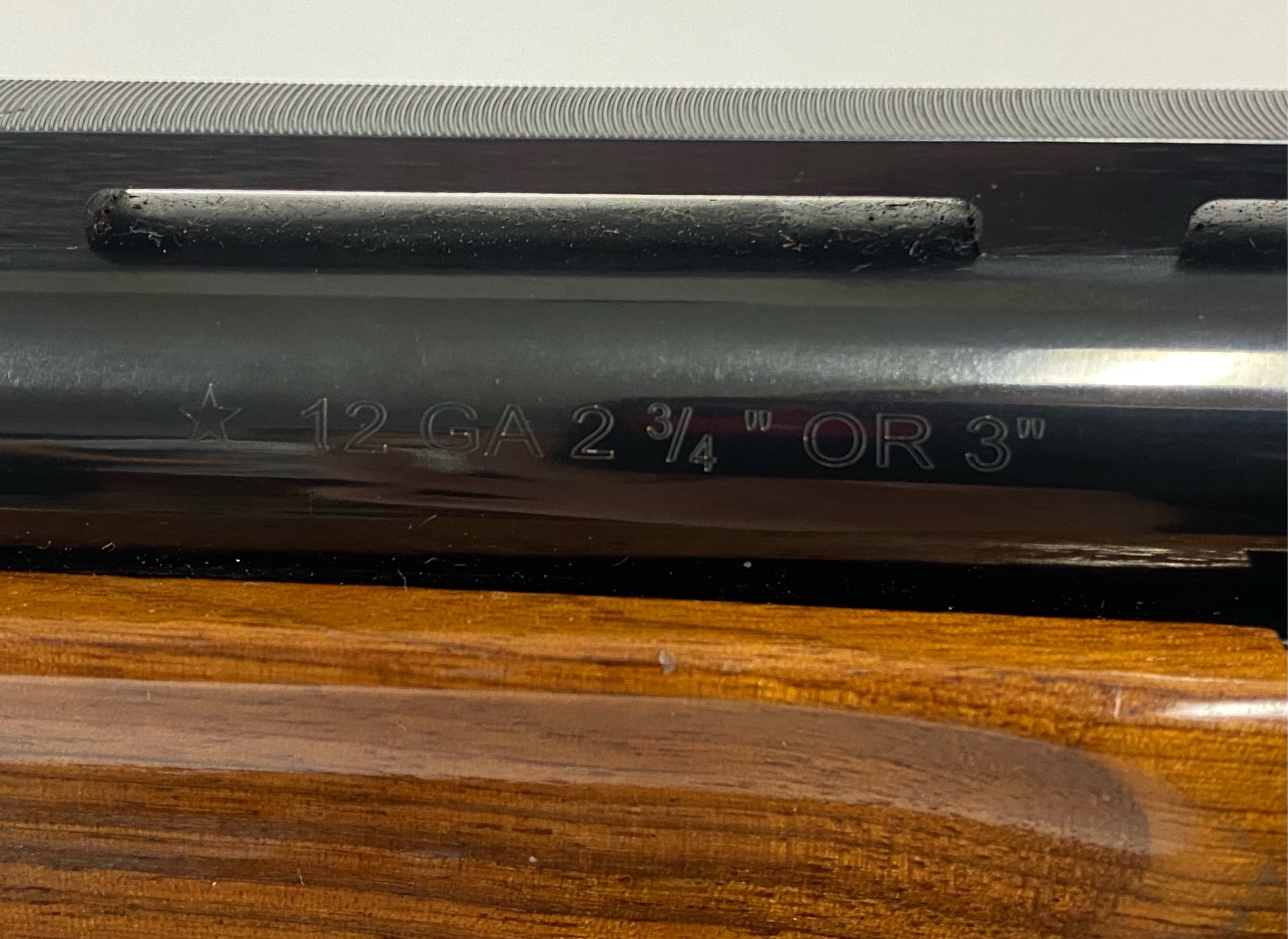ONLINE BIDDING ONLY