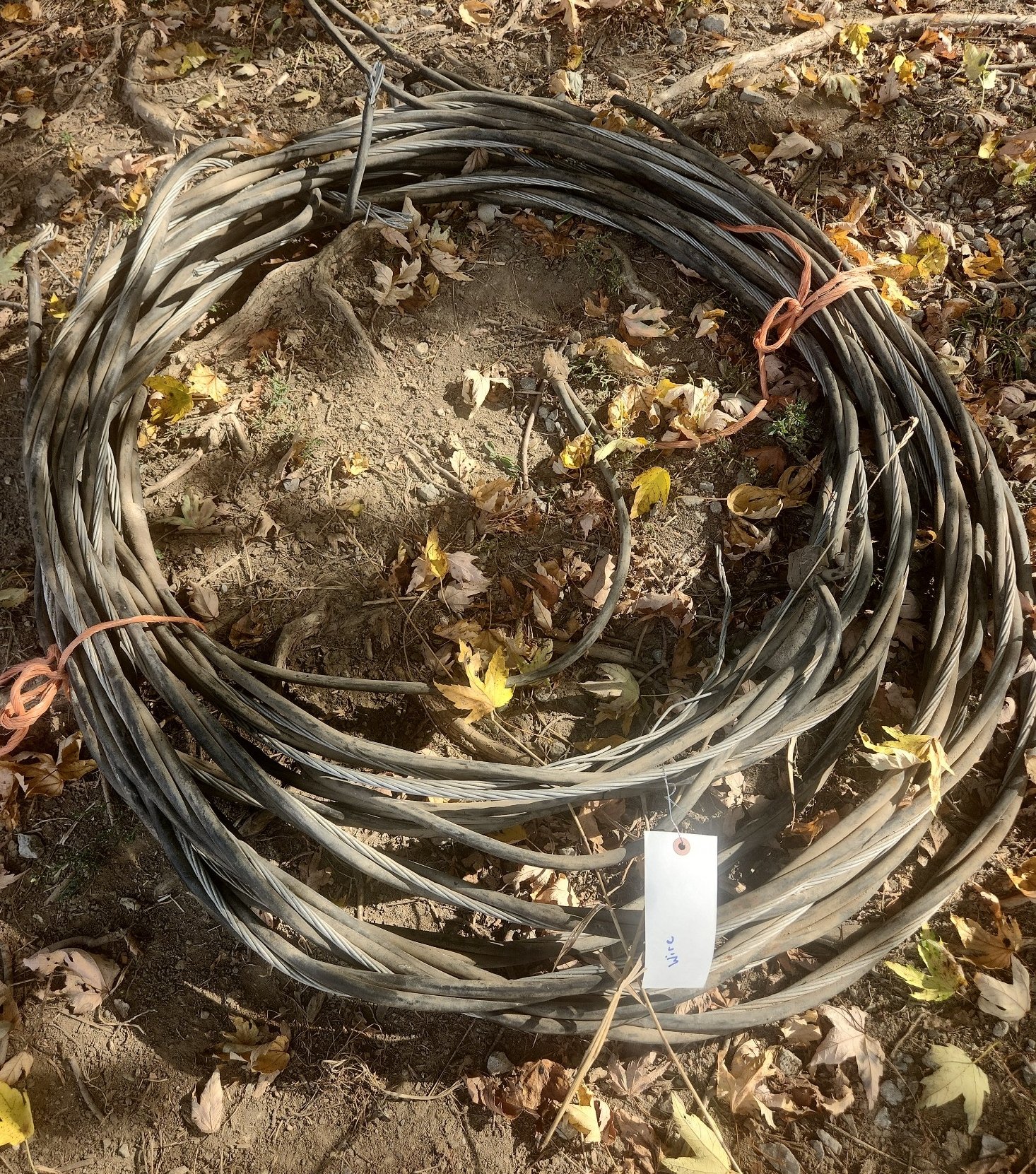 Online Bidding Only!