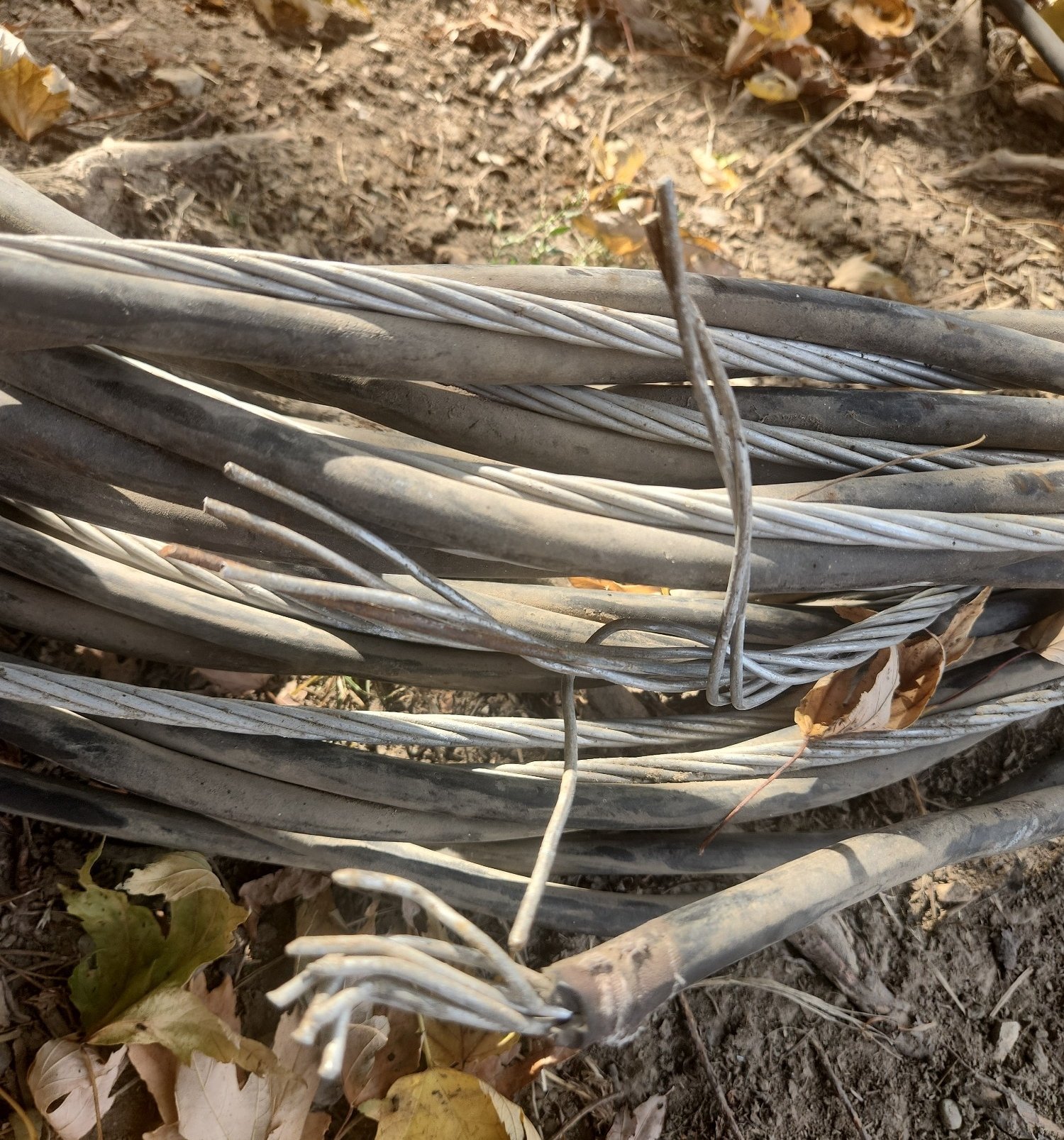 Online Bidding Only!