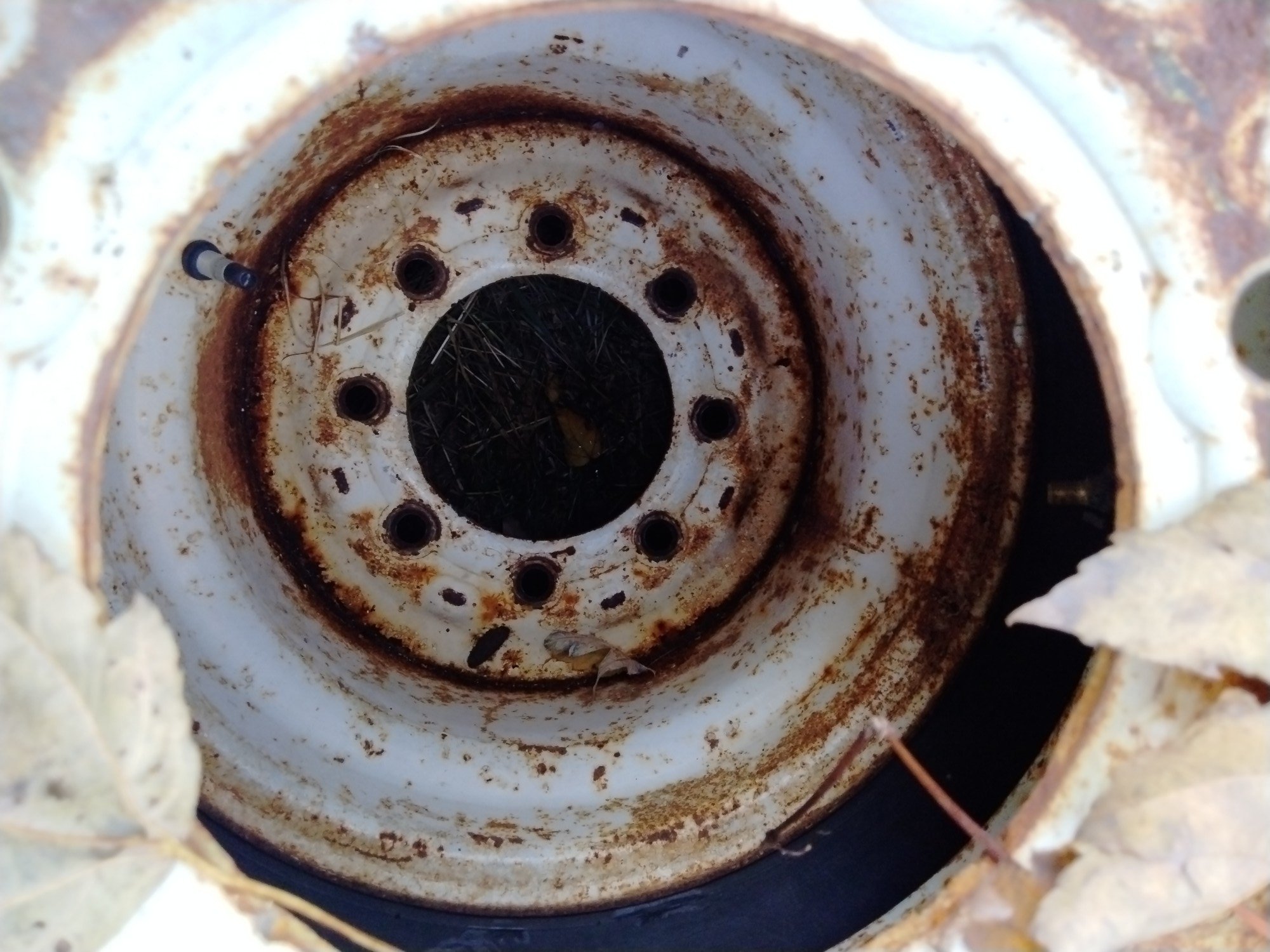 Online Bidding Only!