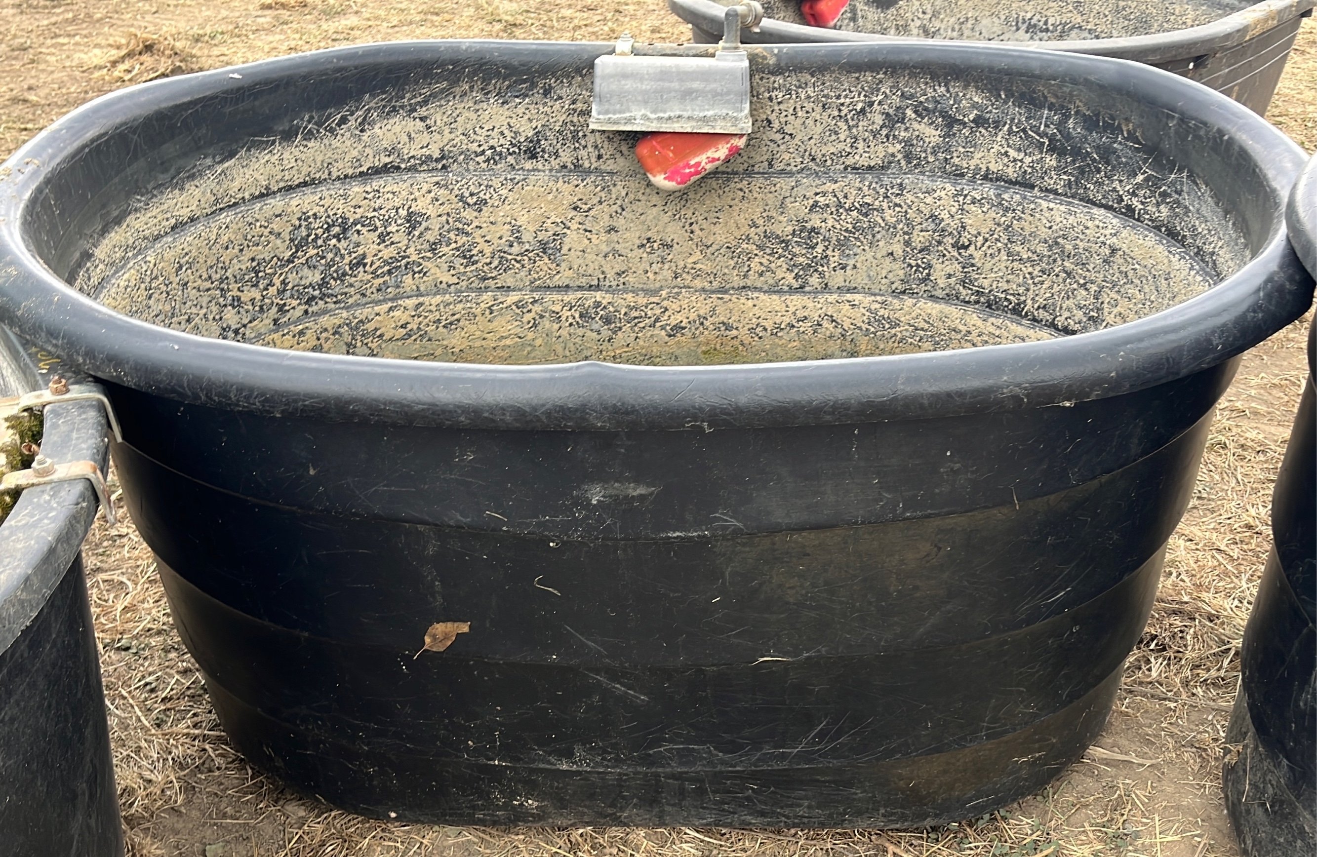 Online Bidding Only!