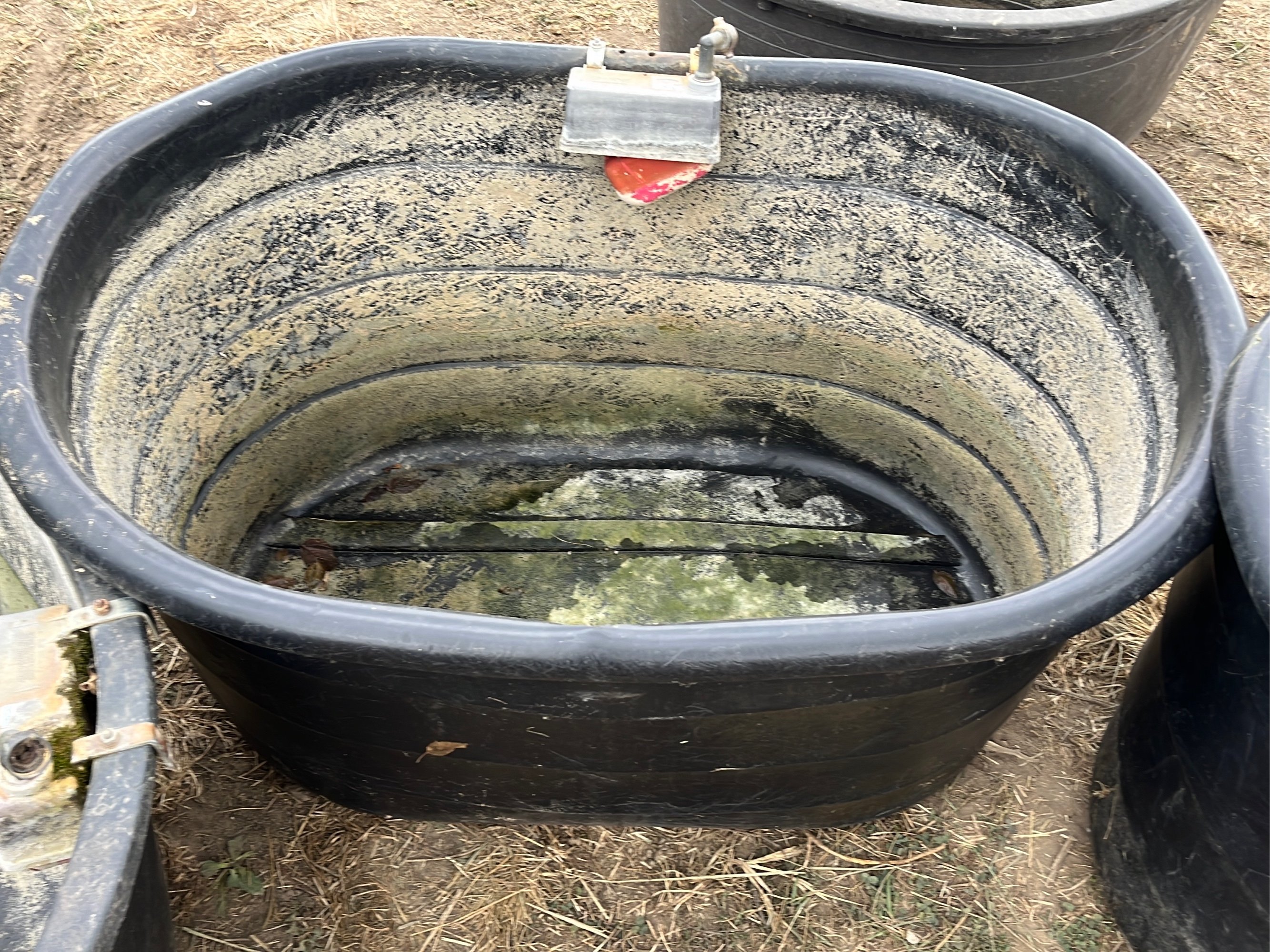 Online Bidding Only!