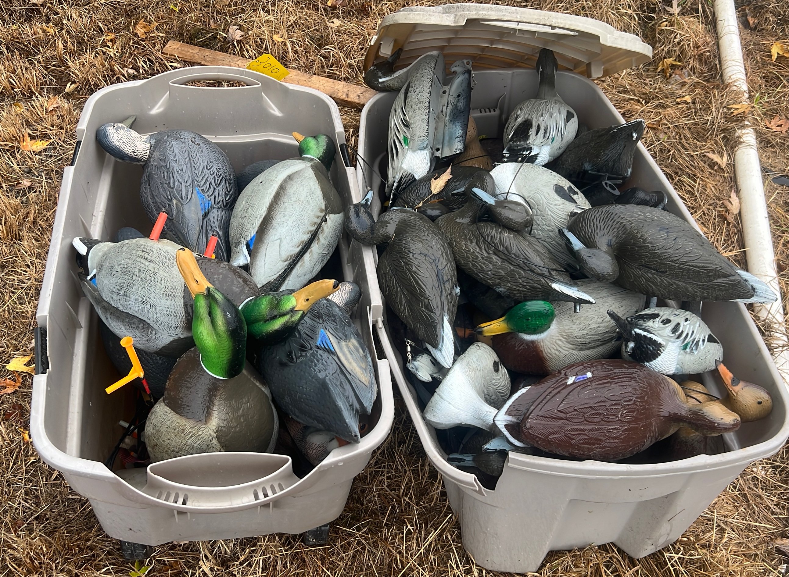 Online Bidding Only!