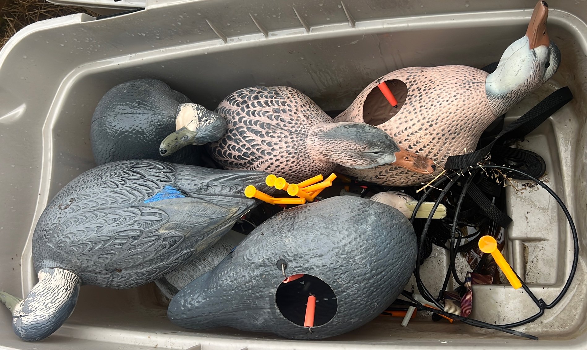 Online Bidding Only!