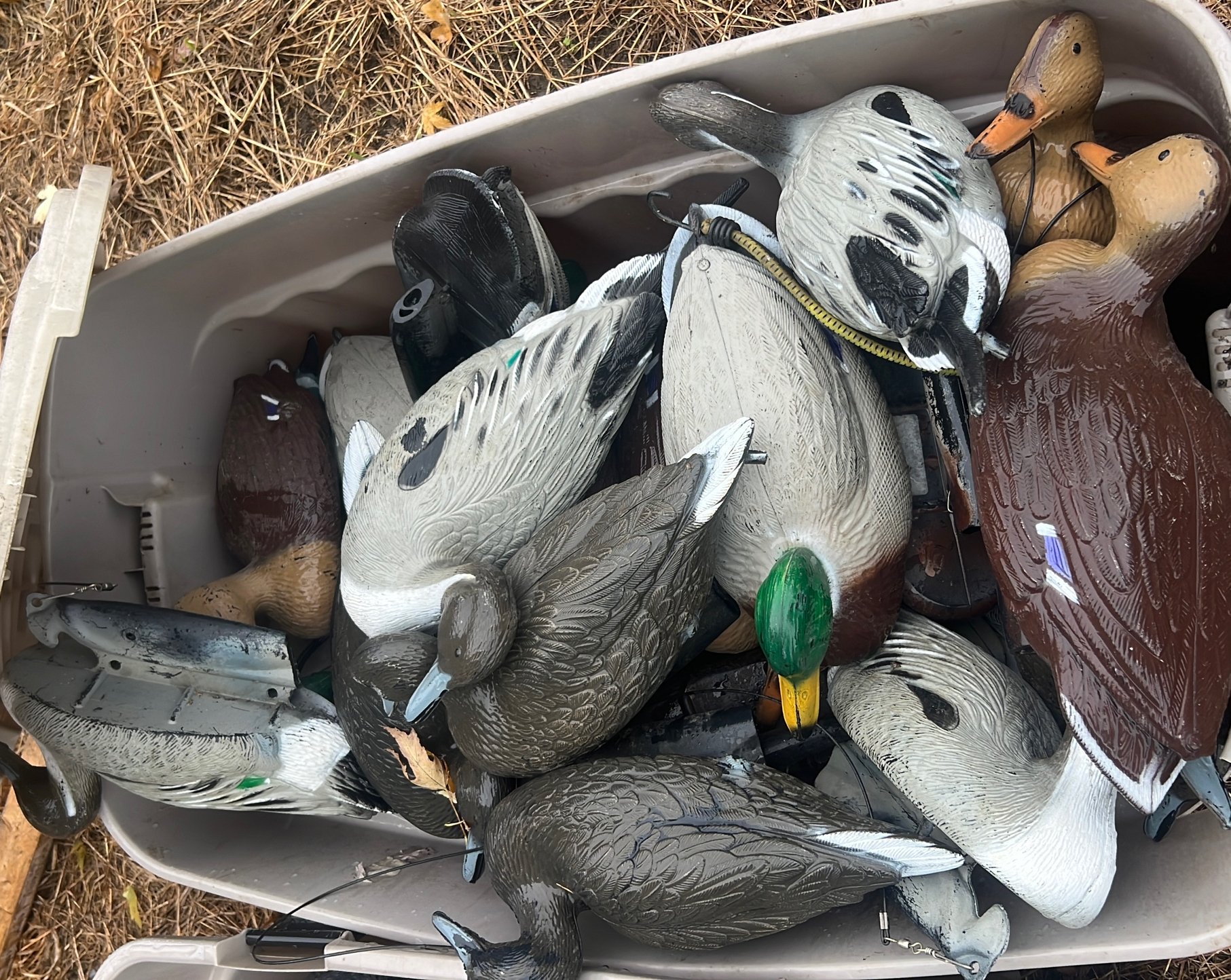 Online Bidding Only!