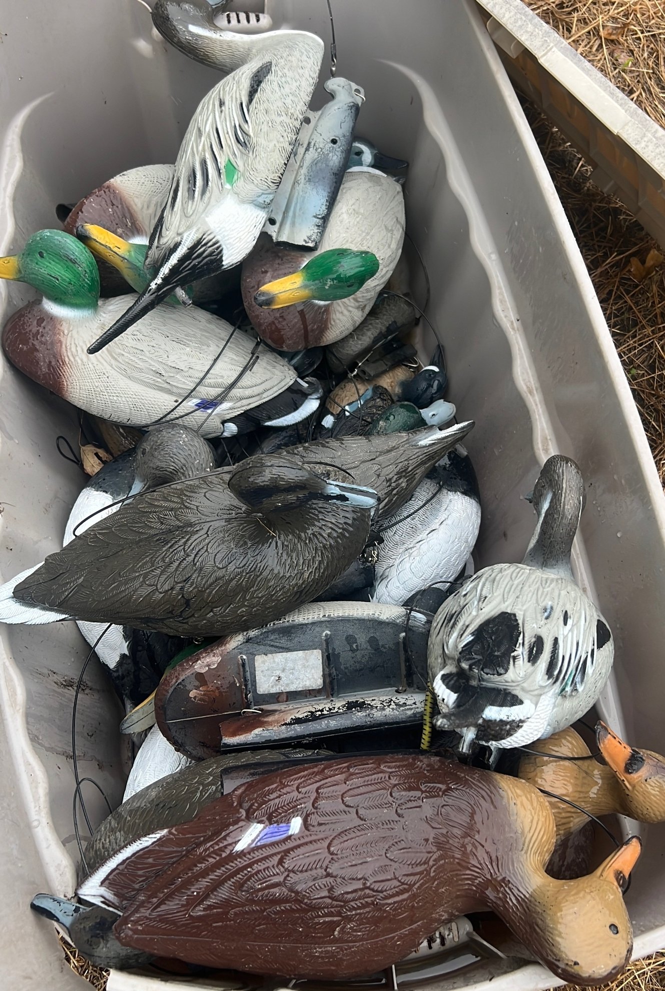 Online Bidding Only!