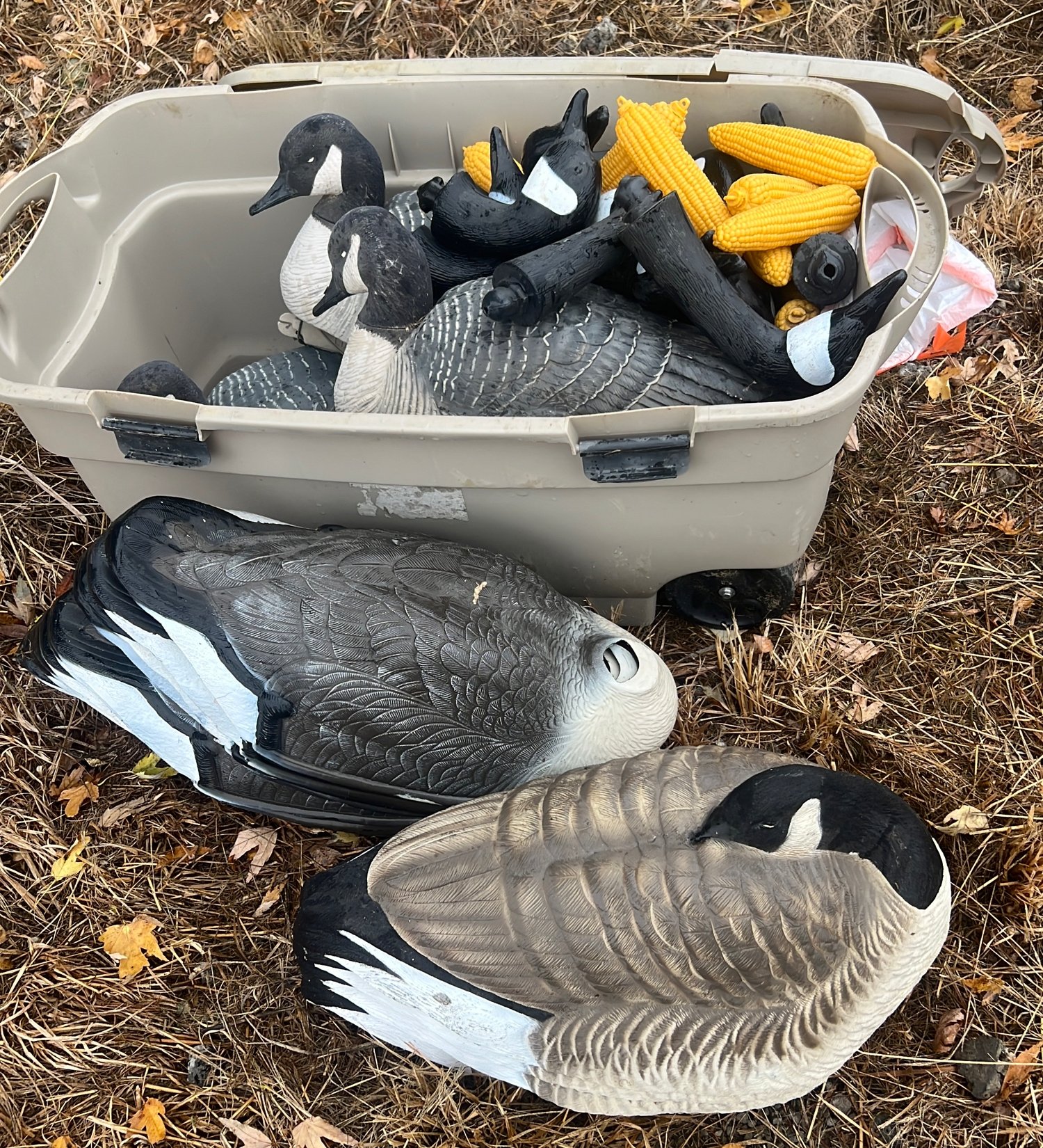 Online Bidding Only!