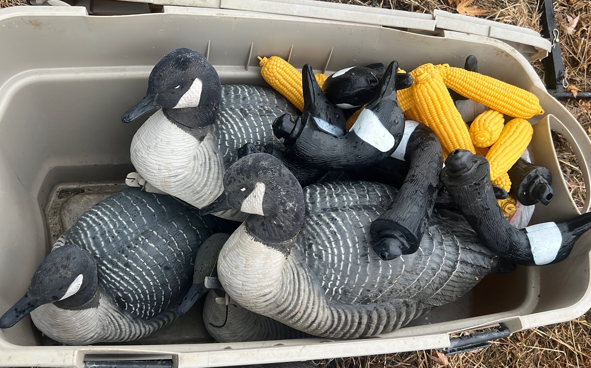 Online Bidding Only!