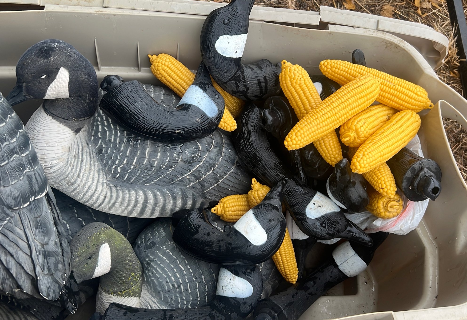 Online Bidding Only!