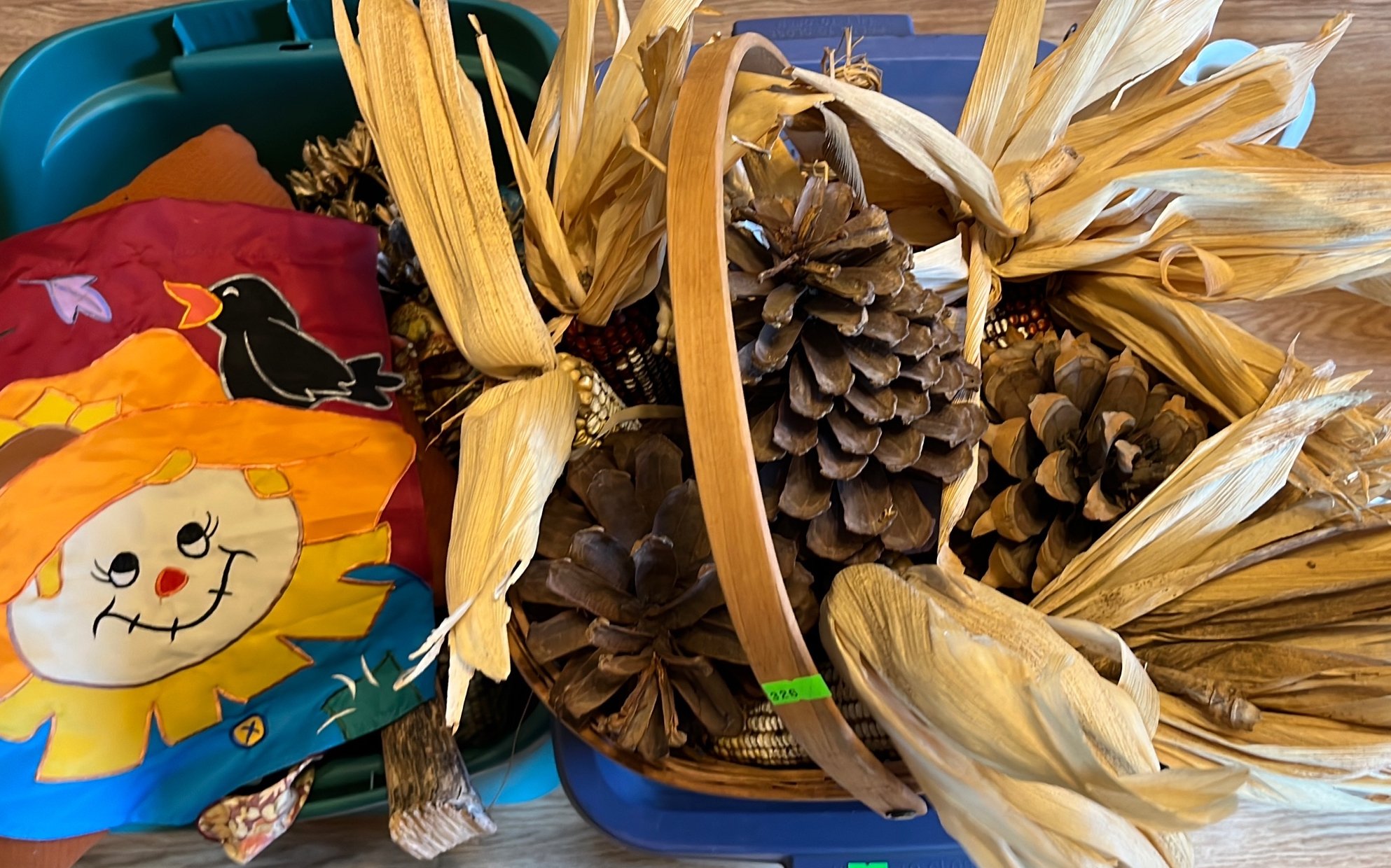 Online Bidding Only!