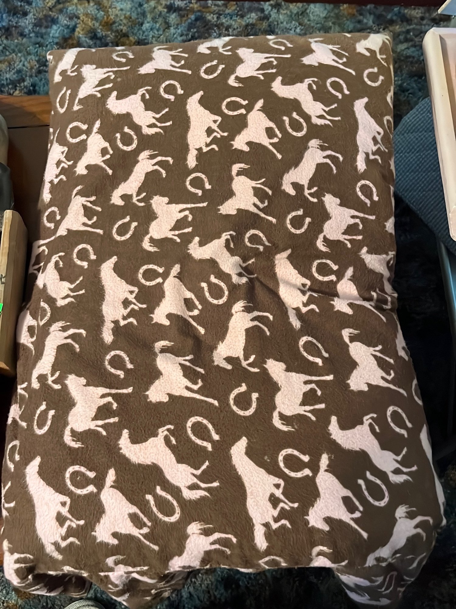 Online Bidding Only!