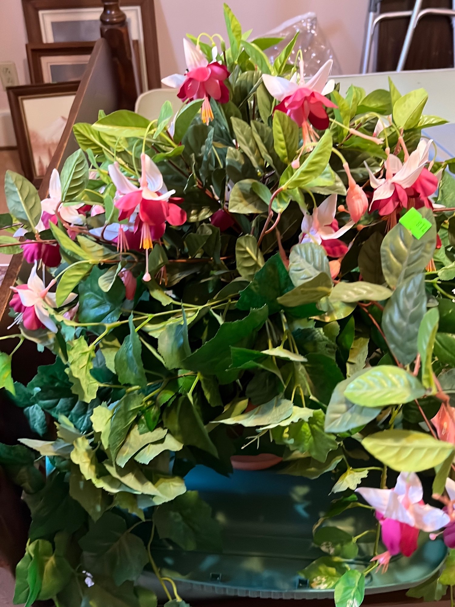 Online Bidding Only!