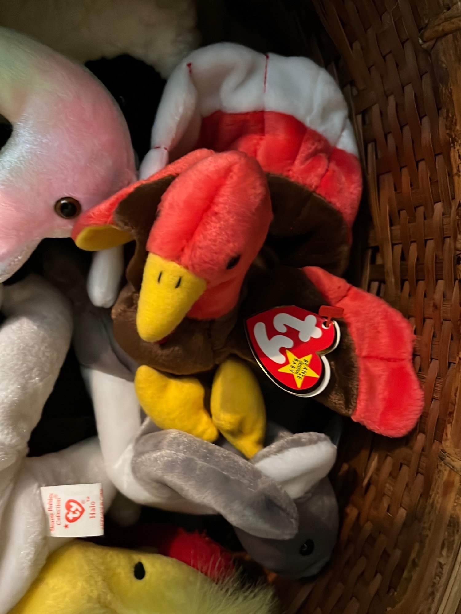 Online Bidding Only!