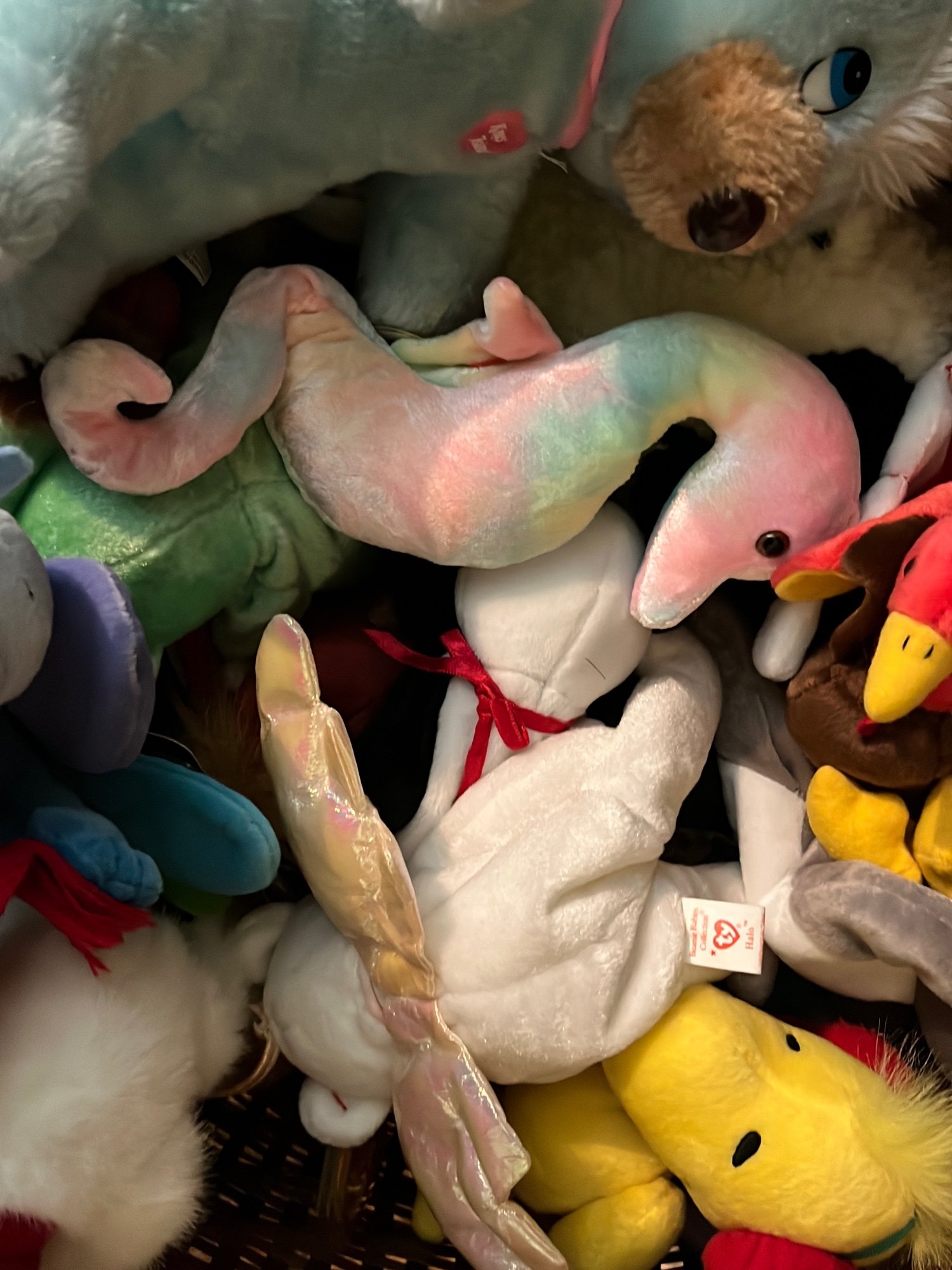 Online Bidding Only!