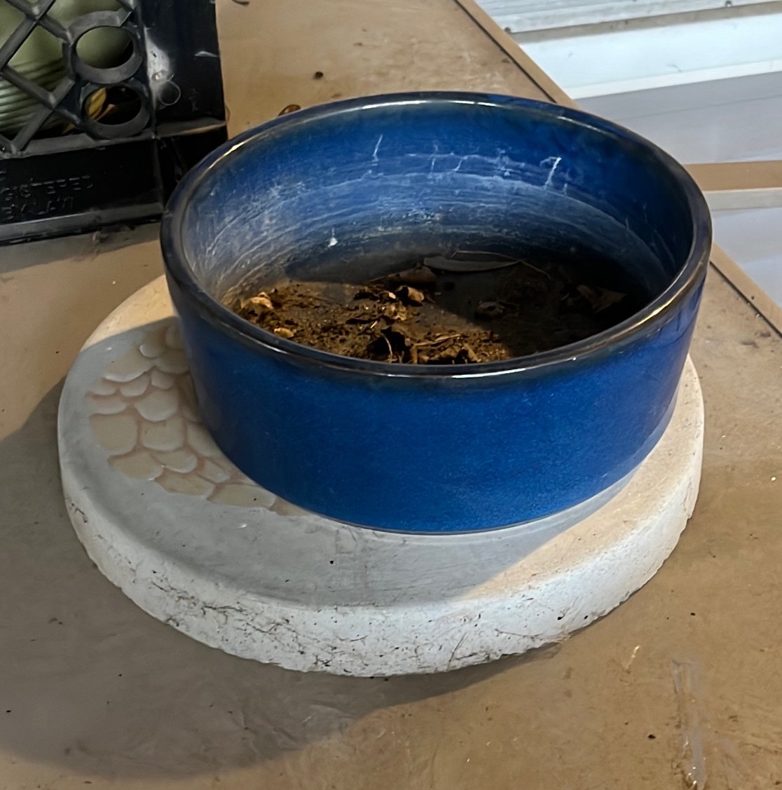 Online Bidding Only!