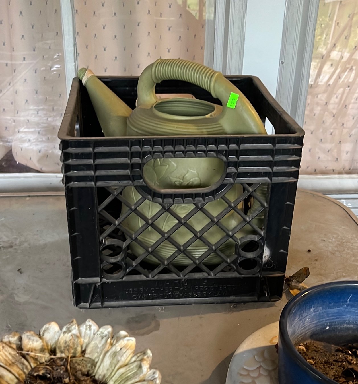 Online Bidding Only!