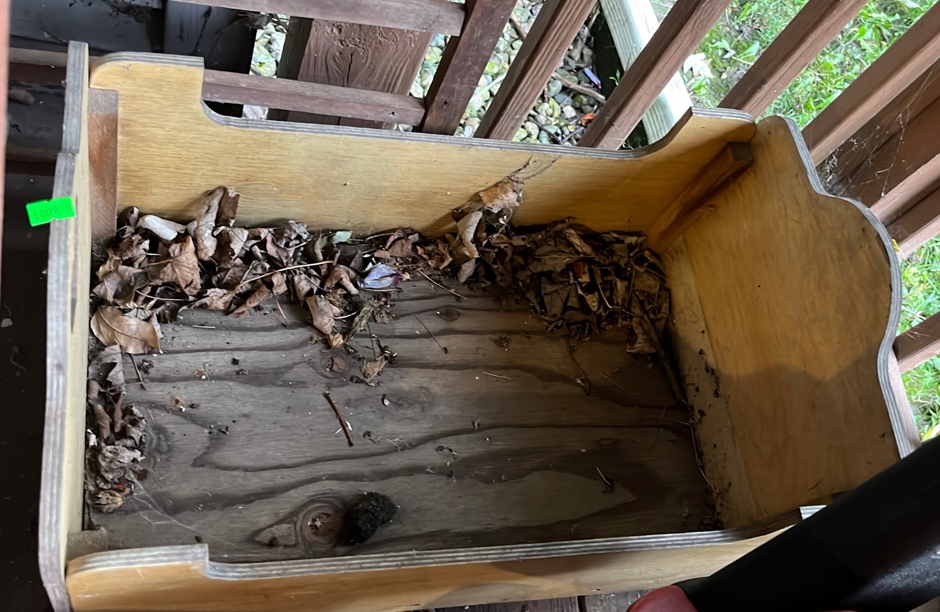 Online Bidding Only!