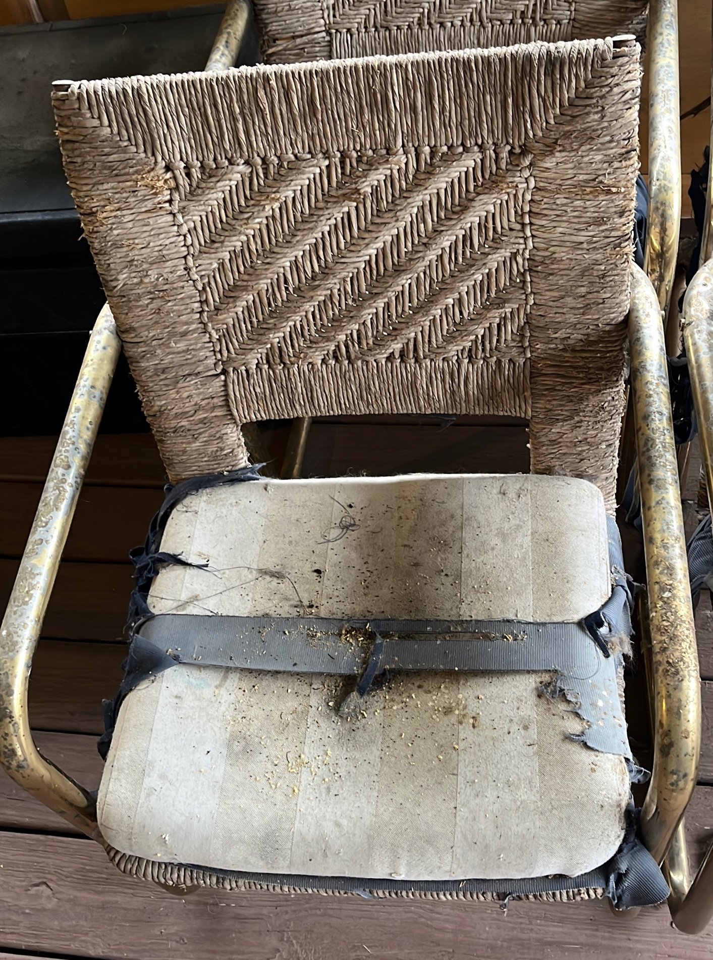 Online Bidding Only!