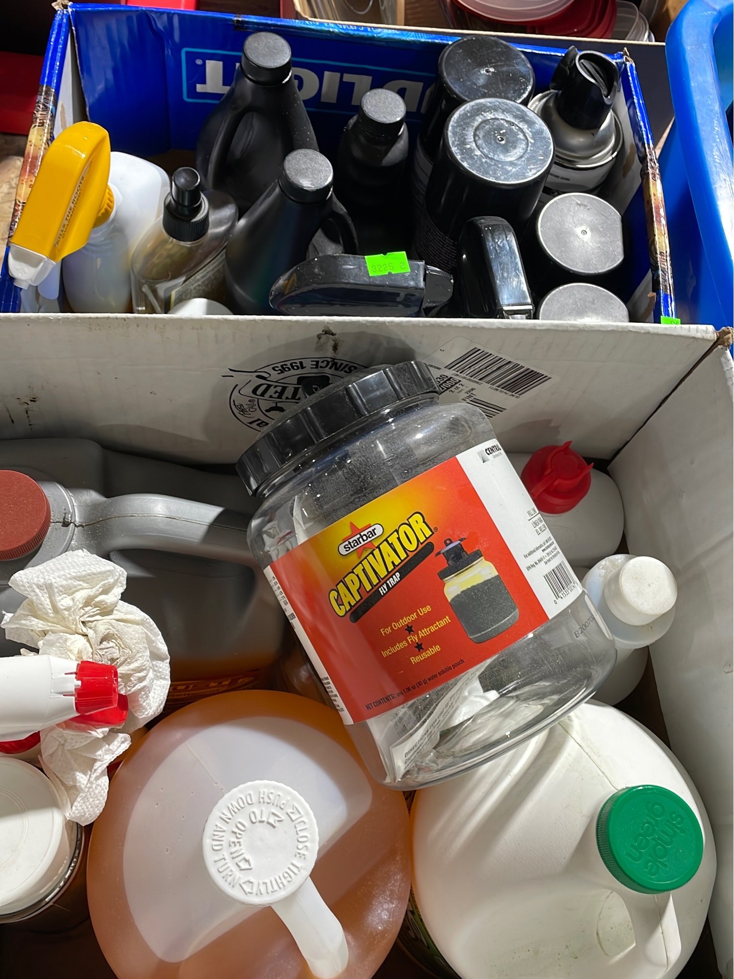 Online Bidding Only!