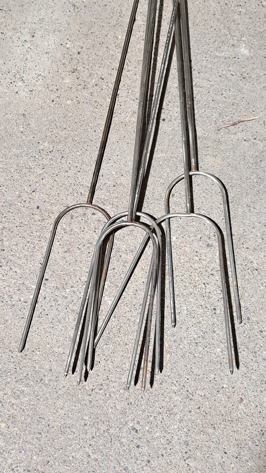 Online Bidding Only!