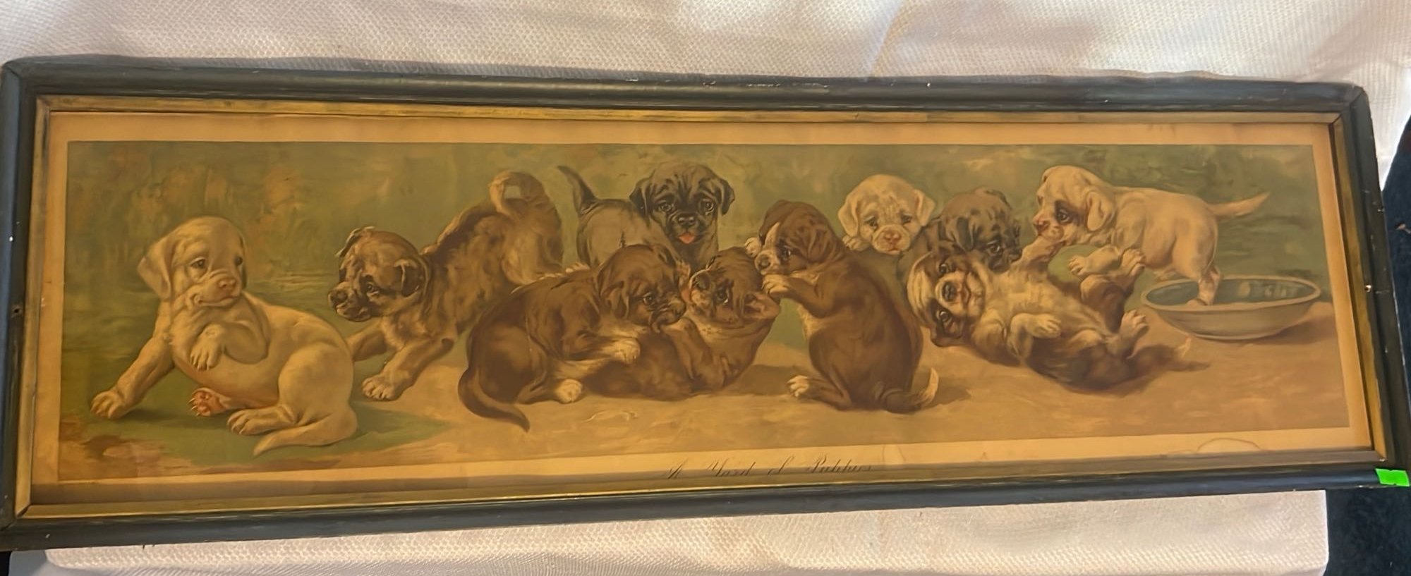 ONLINE BIDDING ONLY