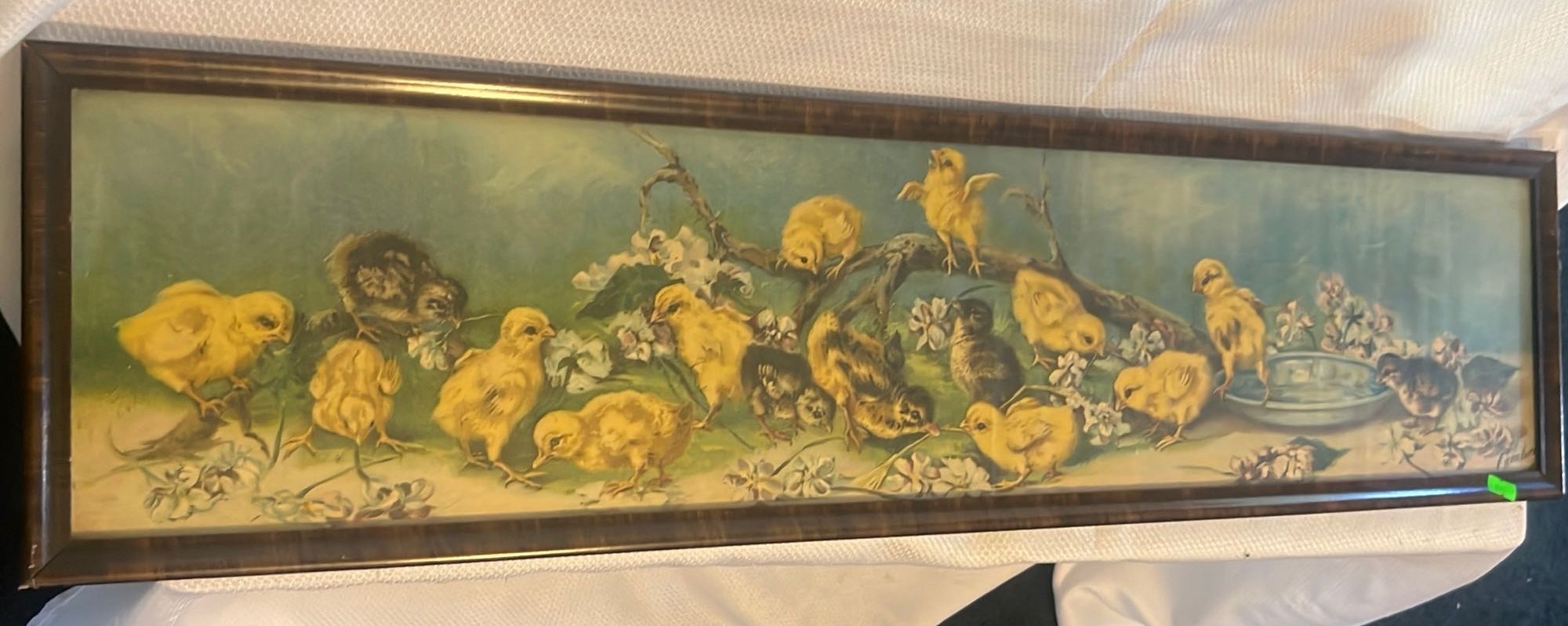 ONLINE BIDDING ONLY