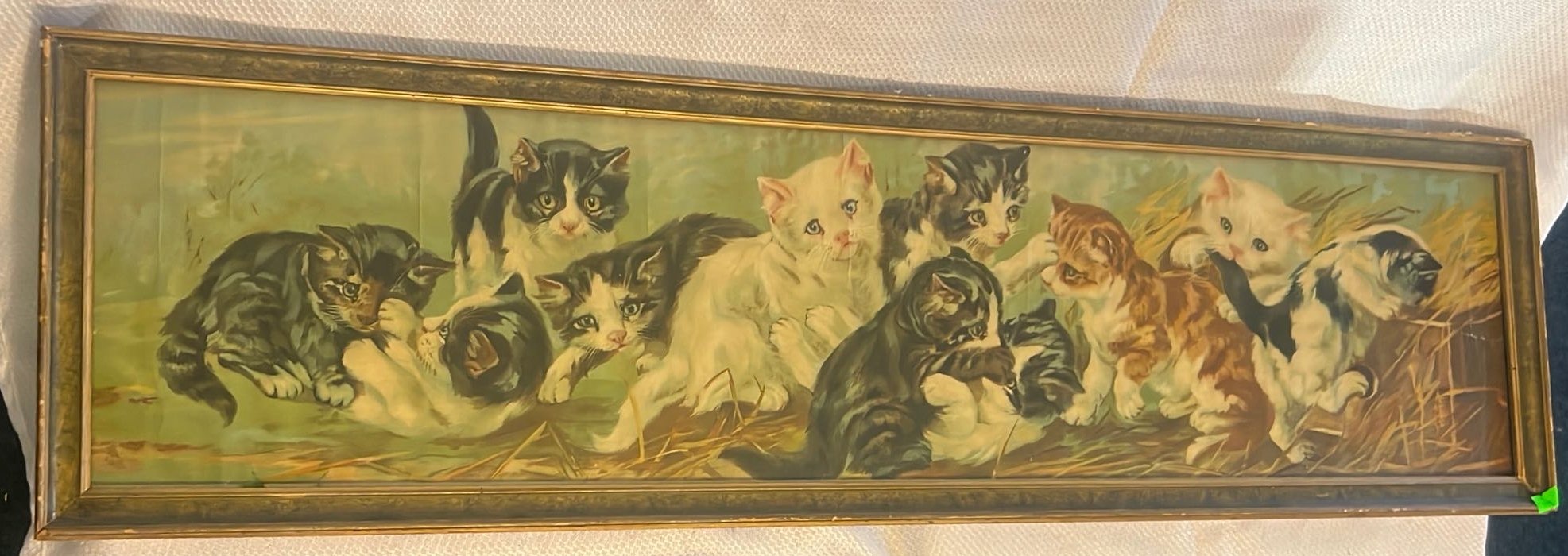 ONLINE BIDDING ONLY