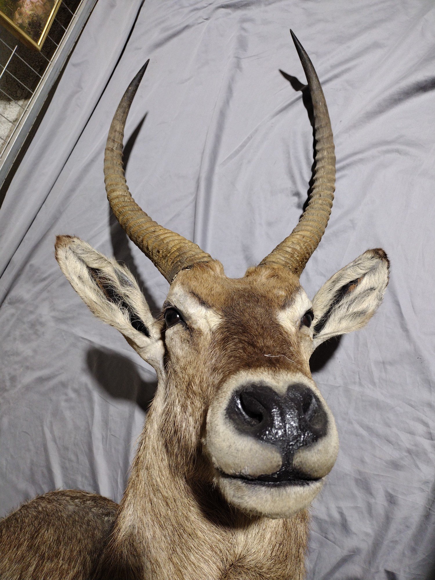 Online Bidding Only!