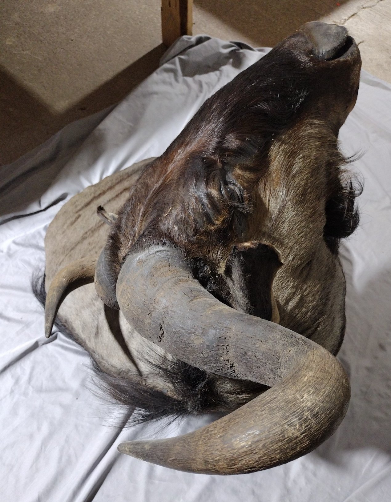 Online Bidding Only!