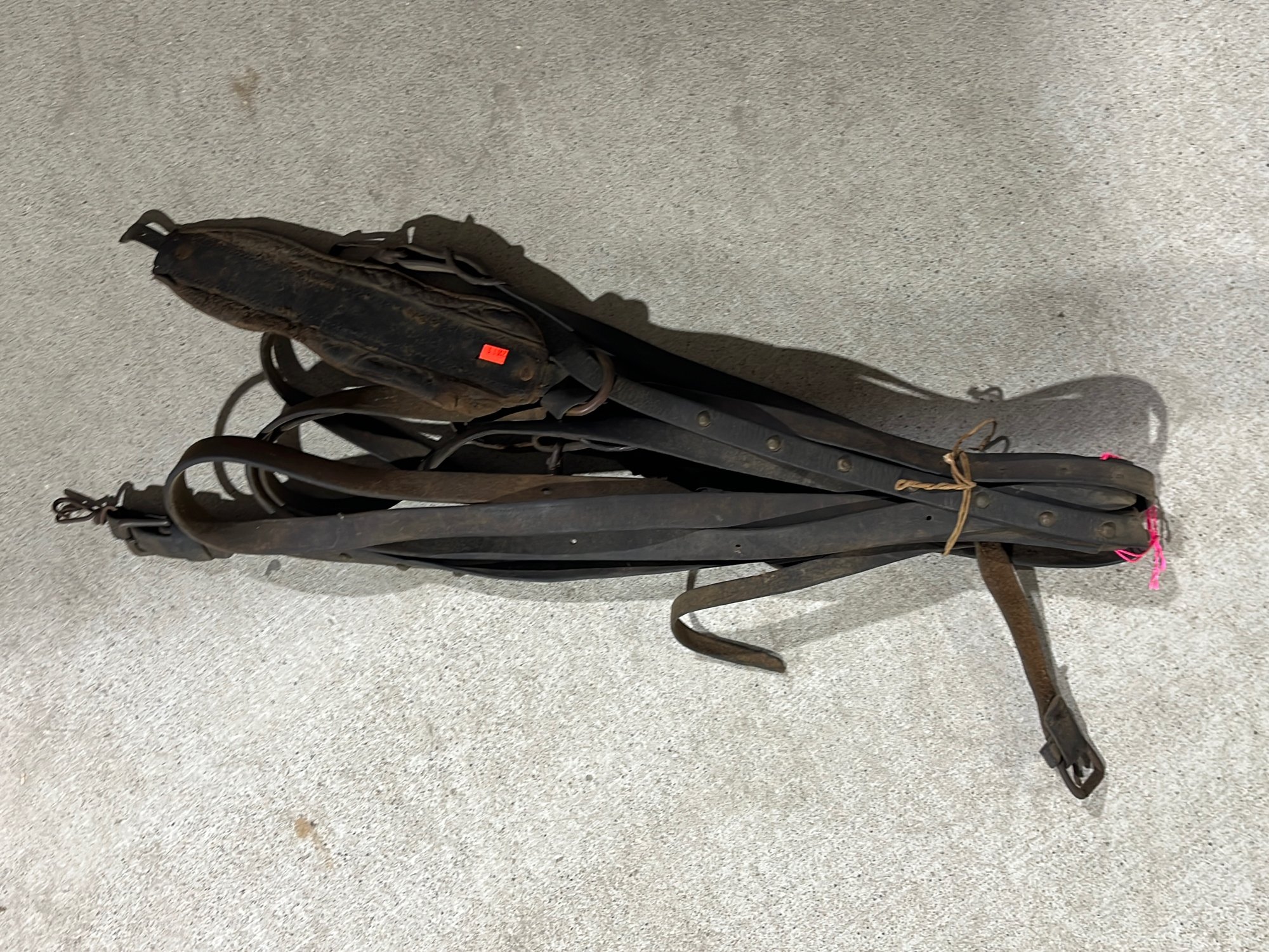 Online Bidding Only!