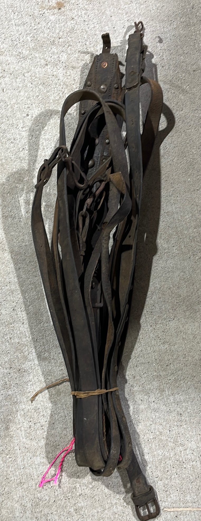 Online Bidding Only!