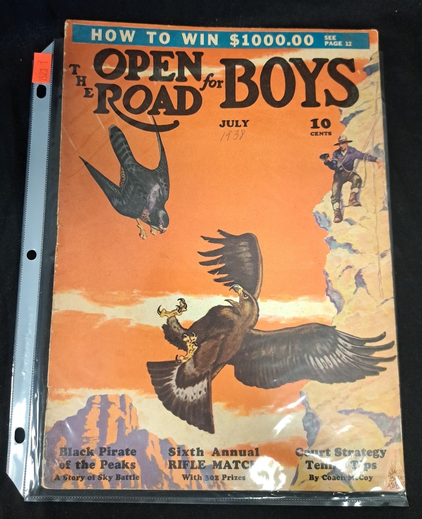 Online Bidding Only!