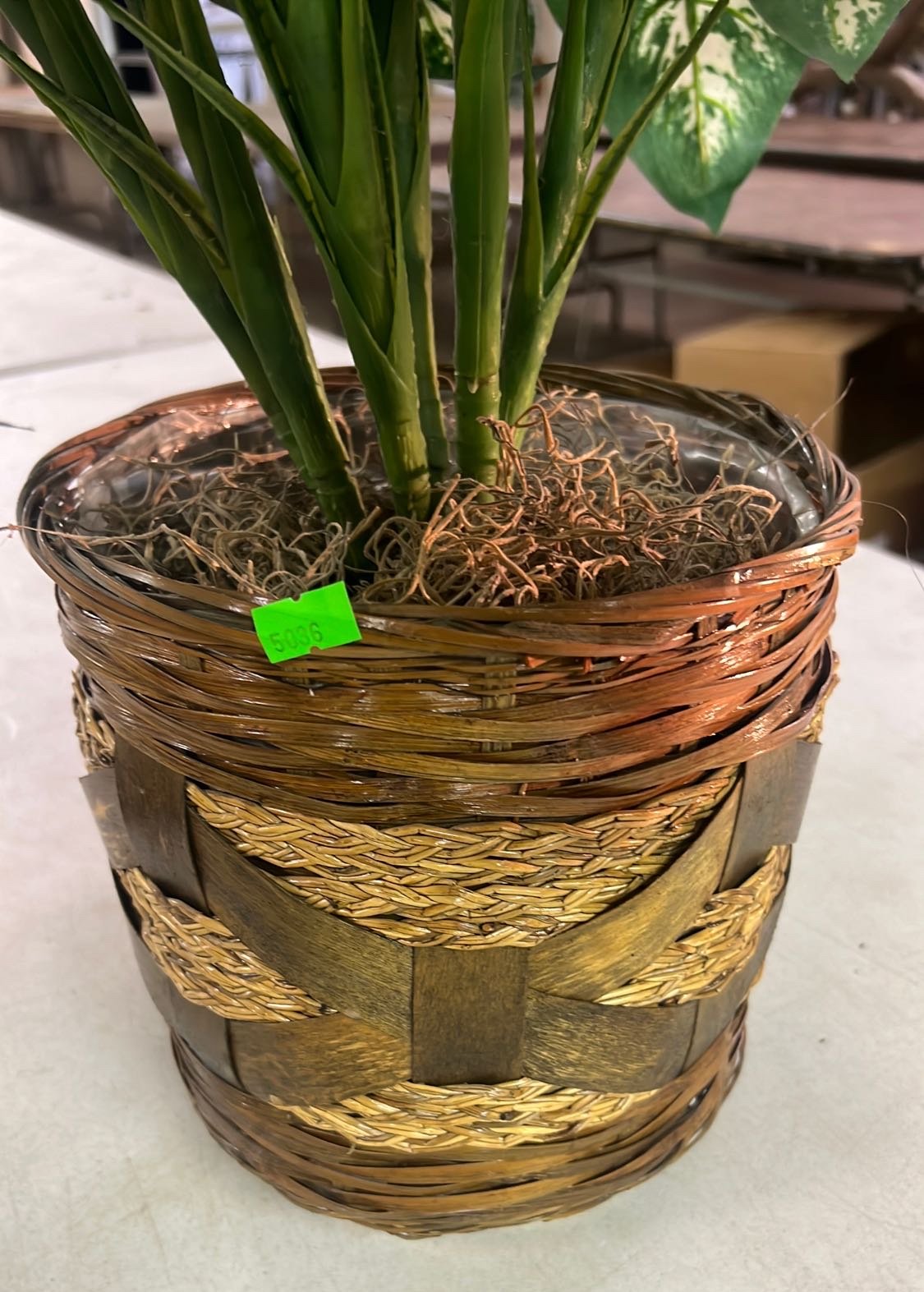 ONLINE BIDDING ONLY