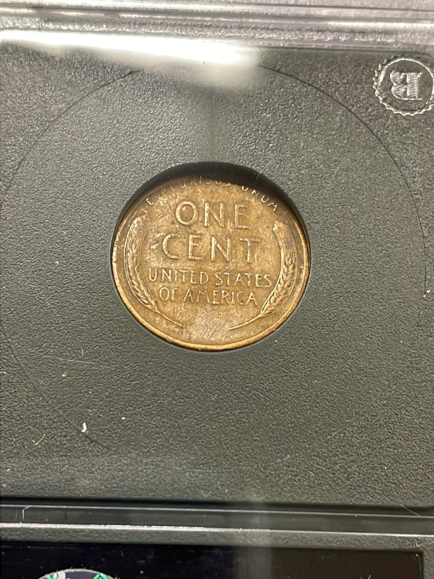 ONLINE BIDDING ONLY