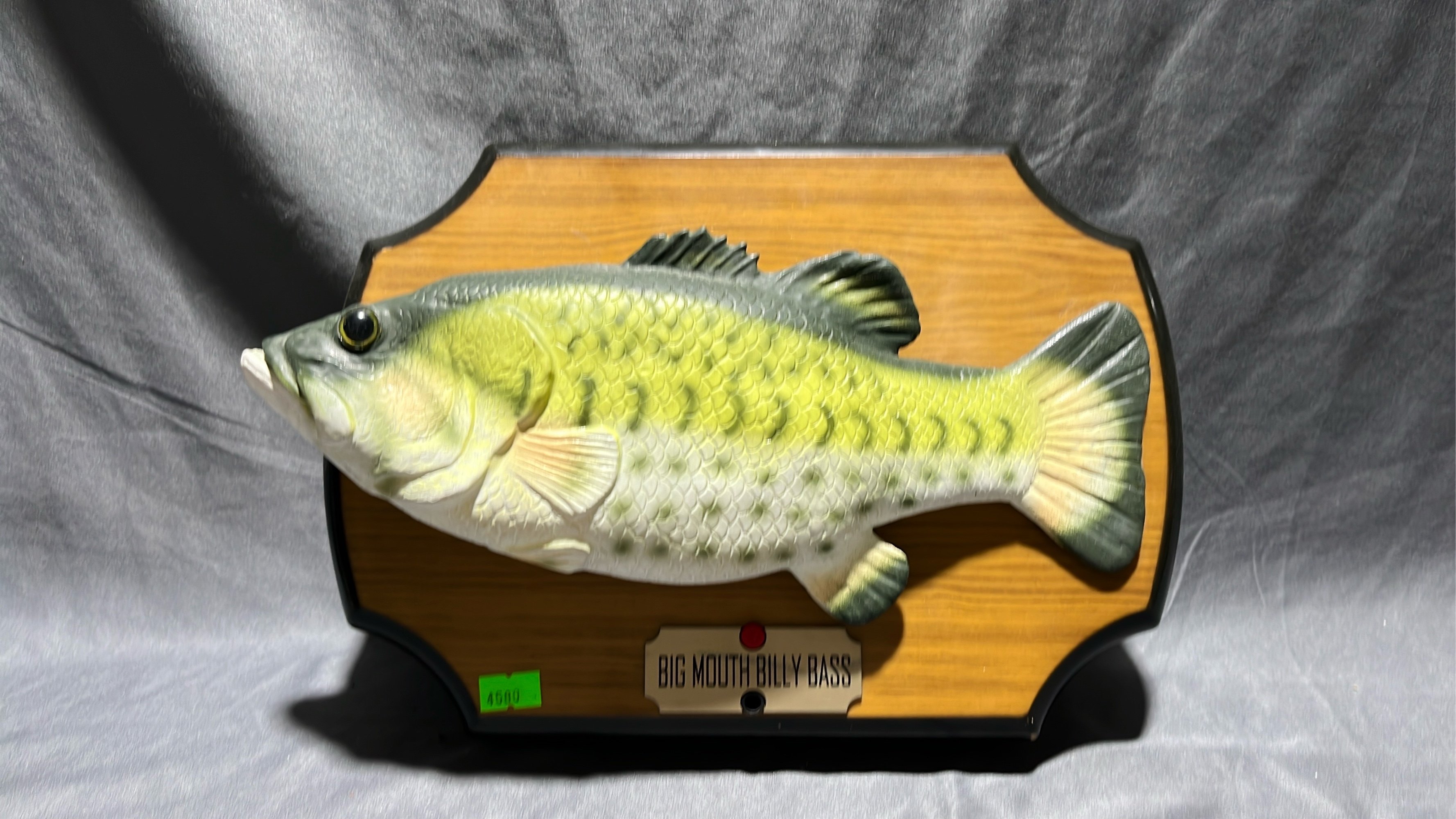 ONLINE BIDDING ONLY