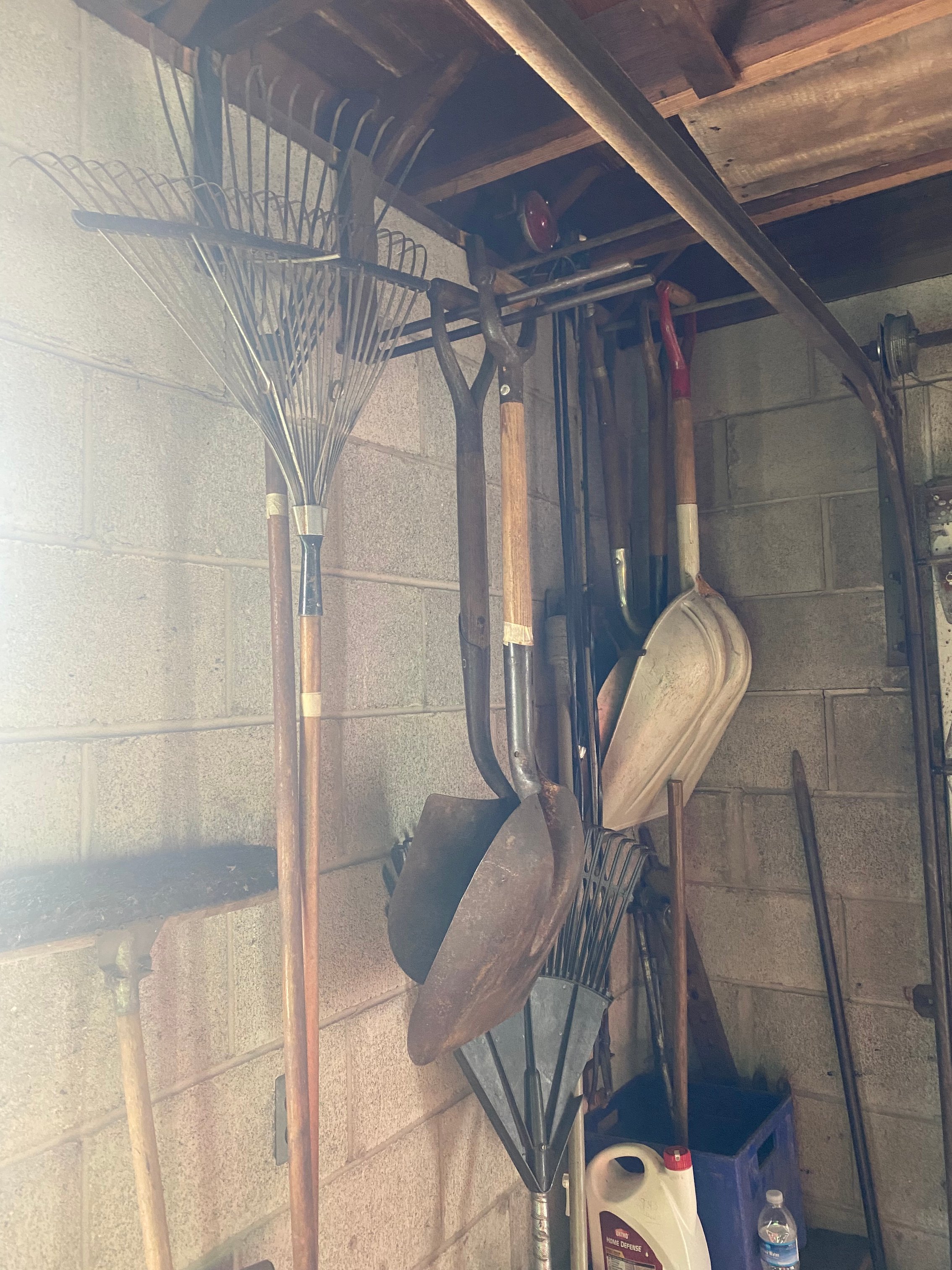 Preview for Live Auction