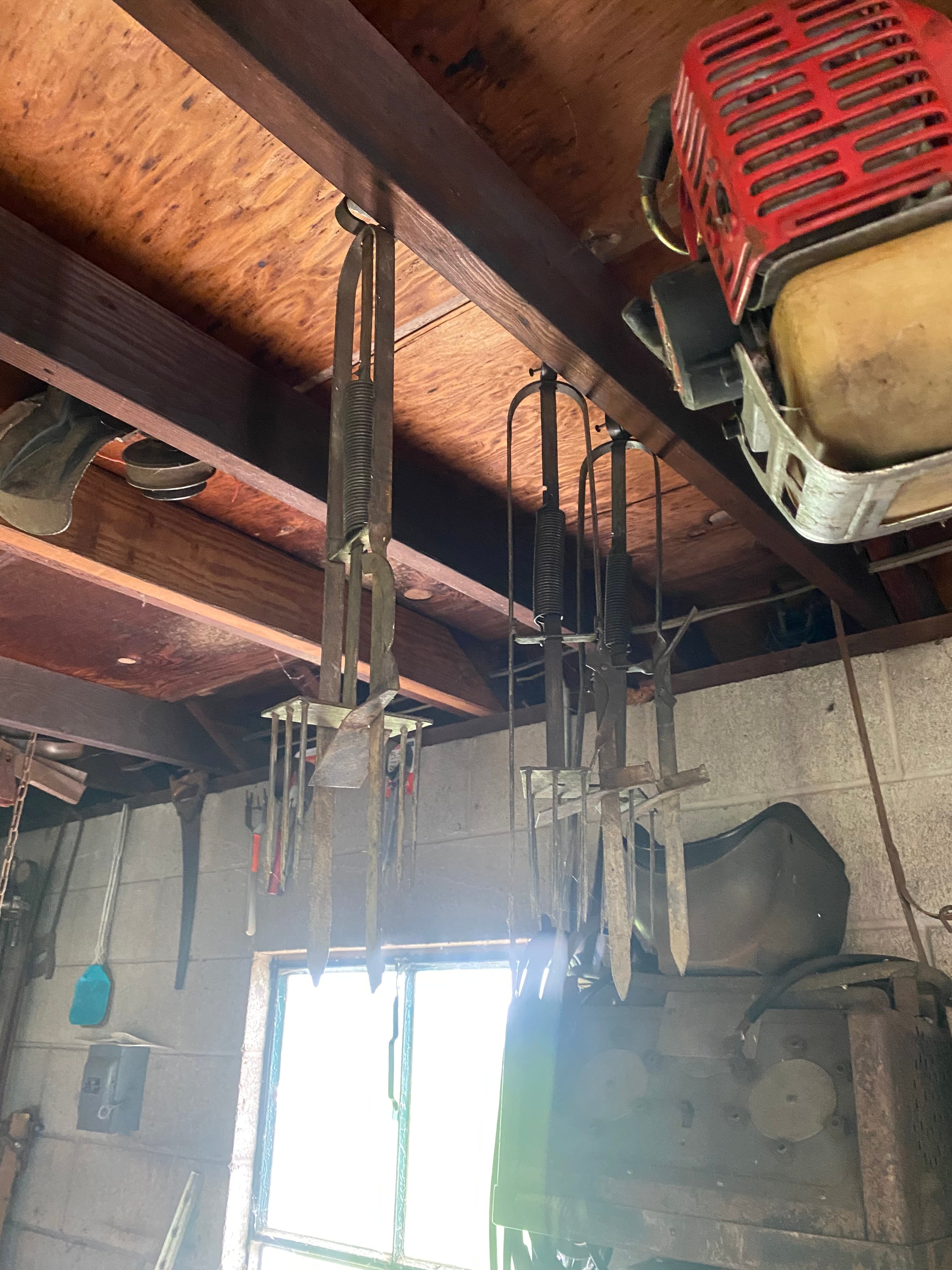 Preview for Live Auction