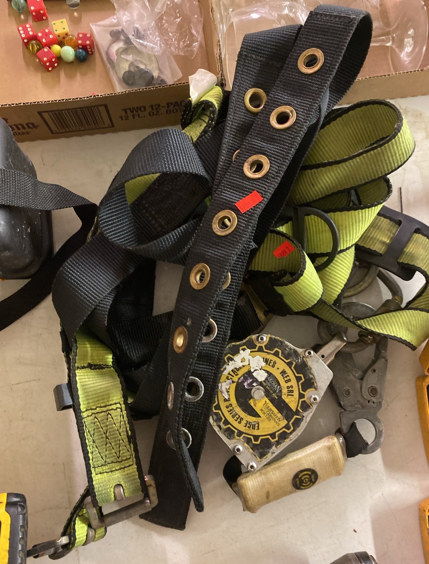 Online Bidding Available!
