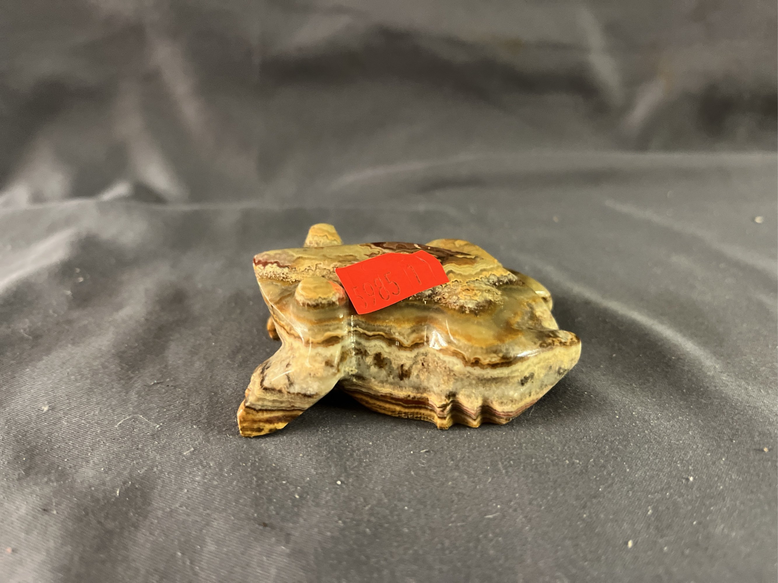 Online Bidding Available!