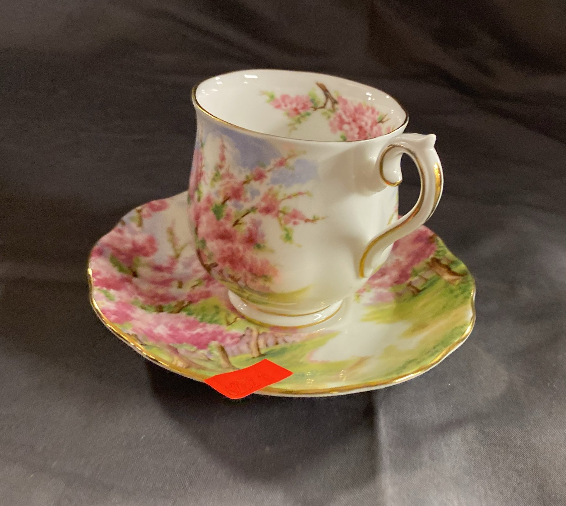 Online Bidding Available!