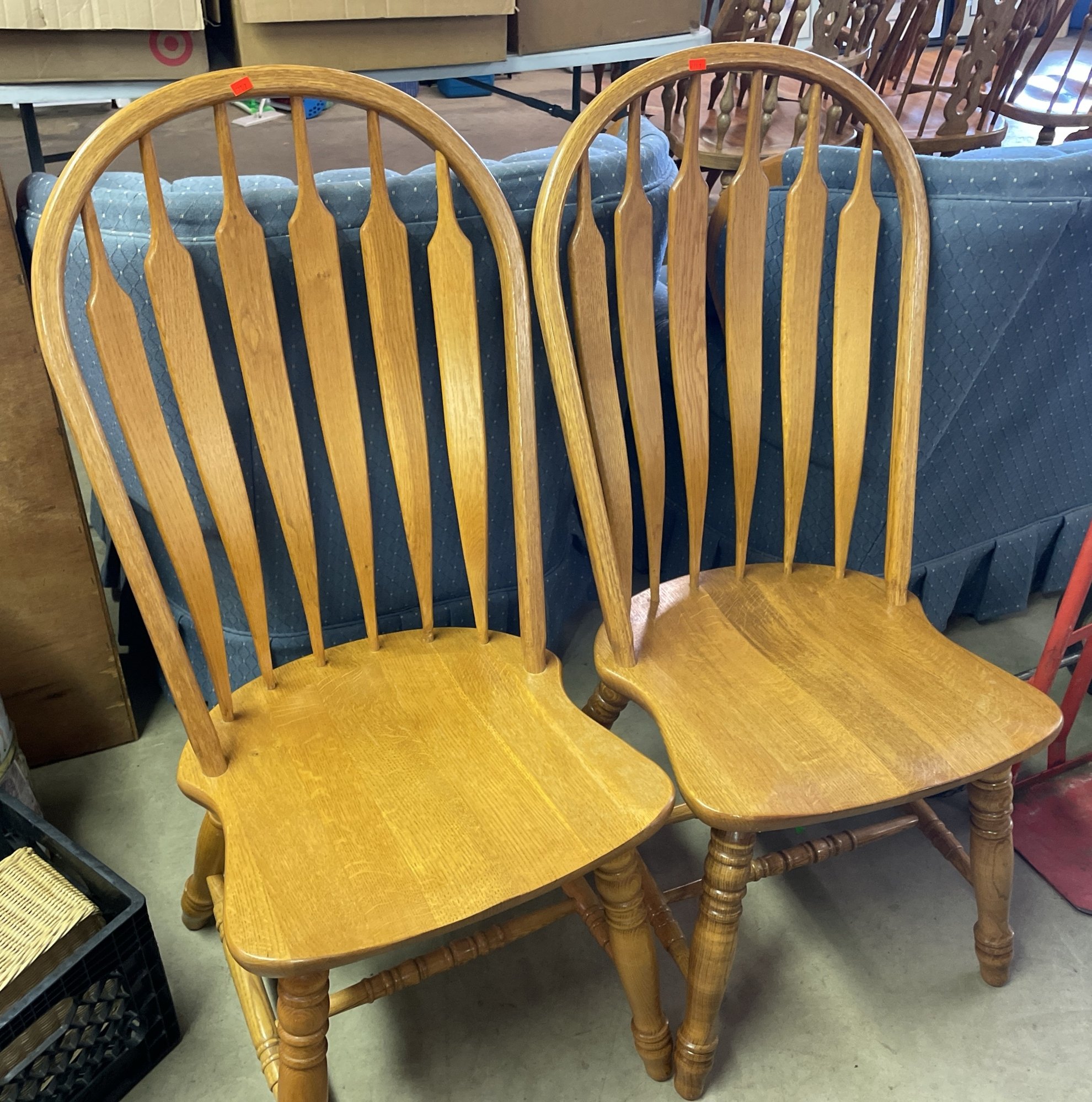 Online Bidding Available!