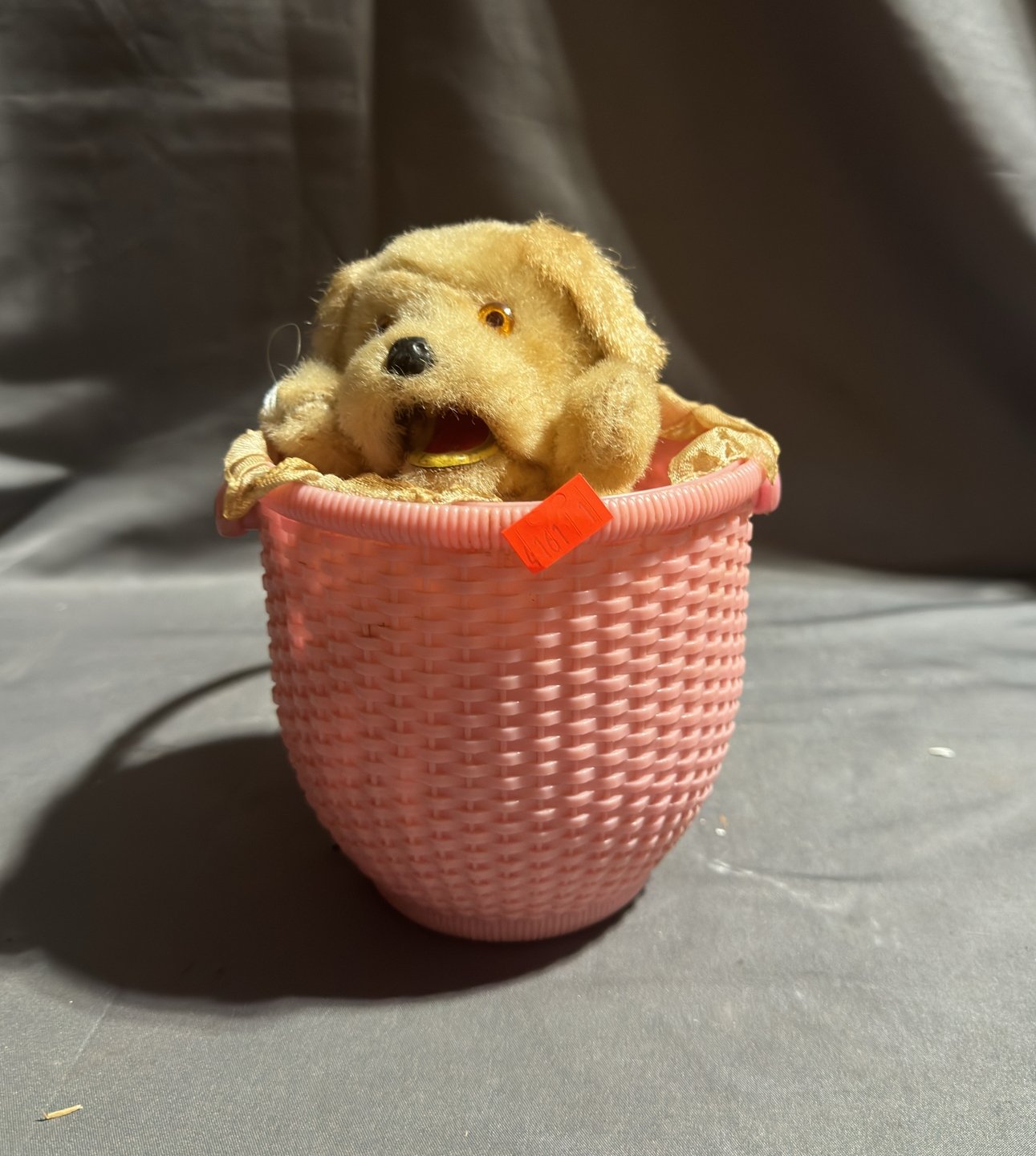 Online Bidding Only!