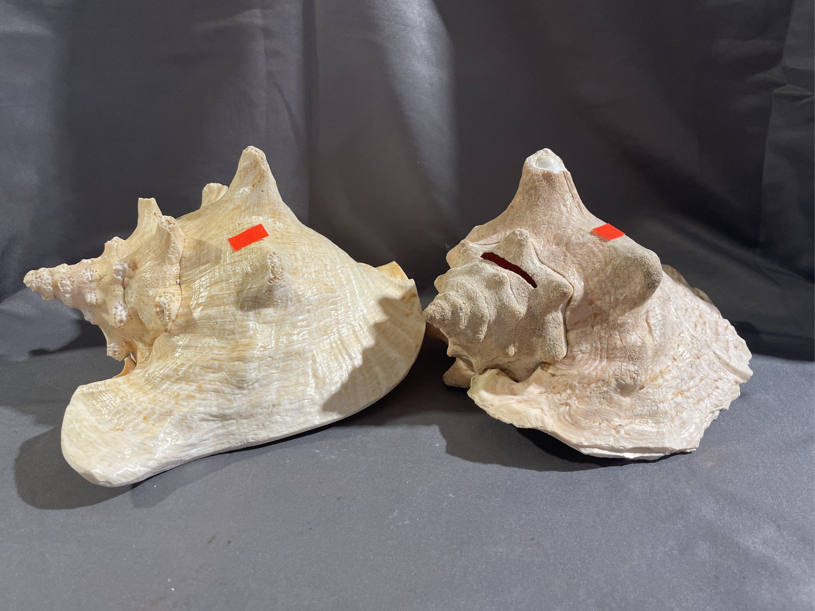 Online Bidding Only!