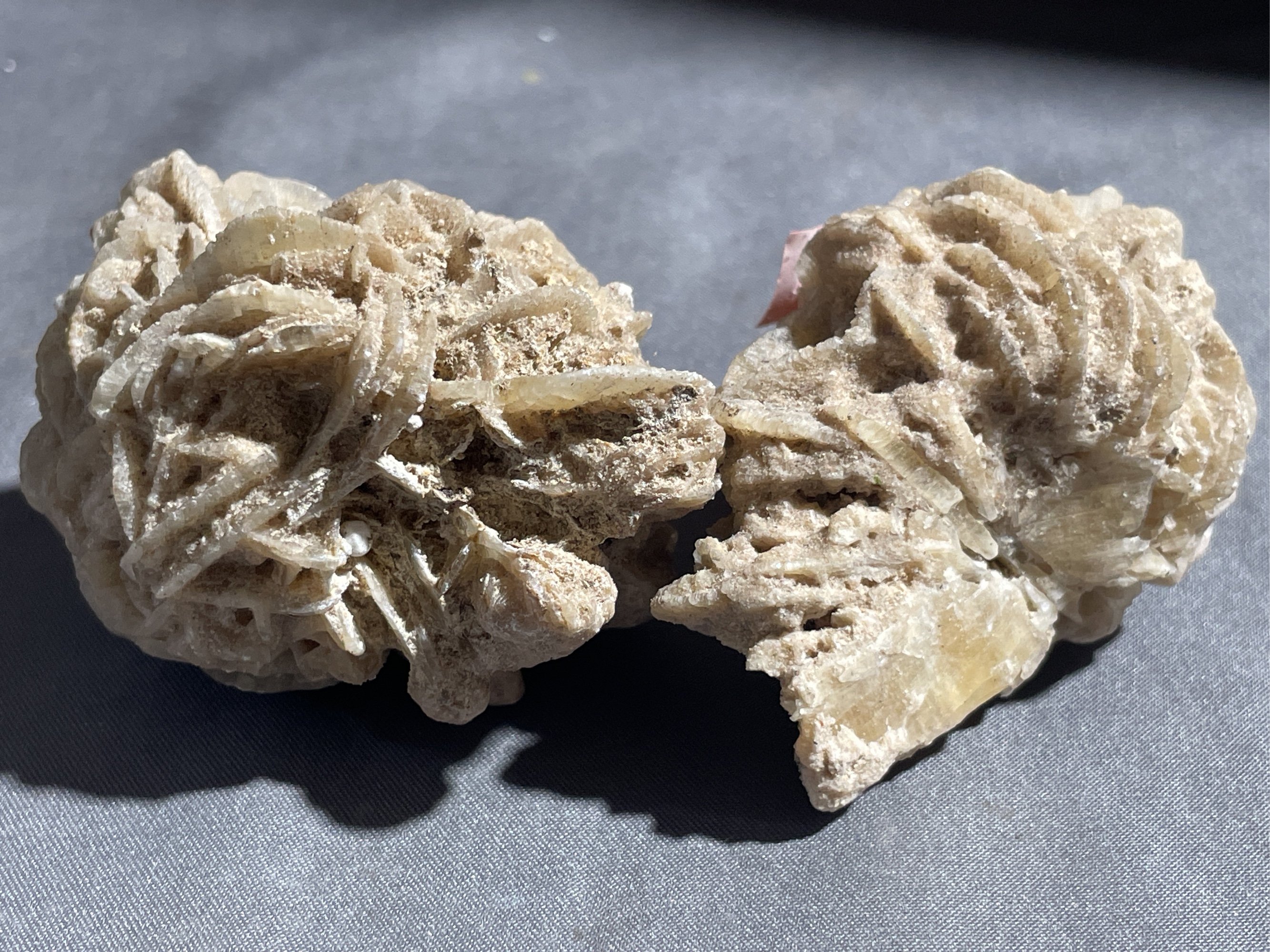 Online Bidding Only!