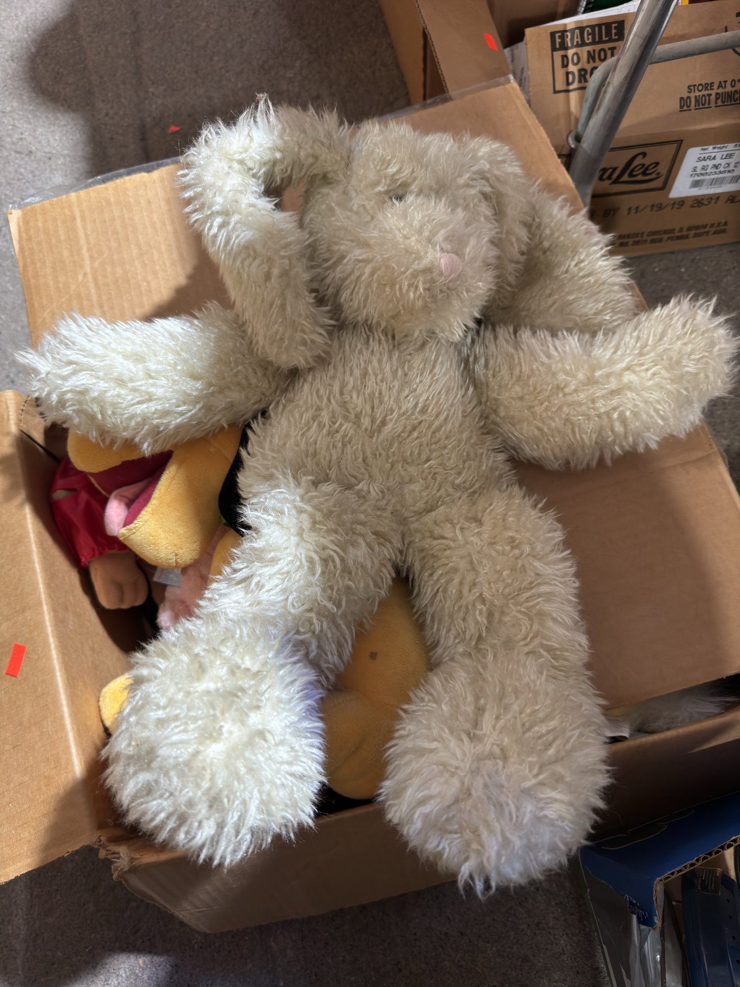 Online Bidding Only!